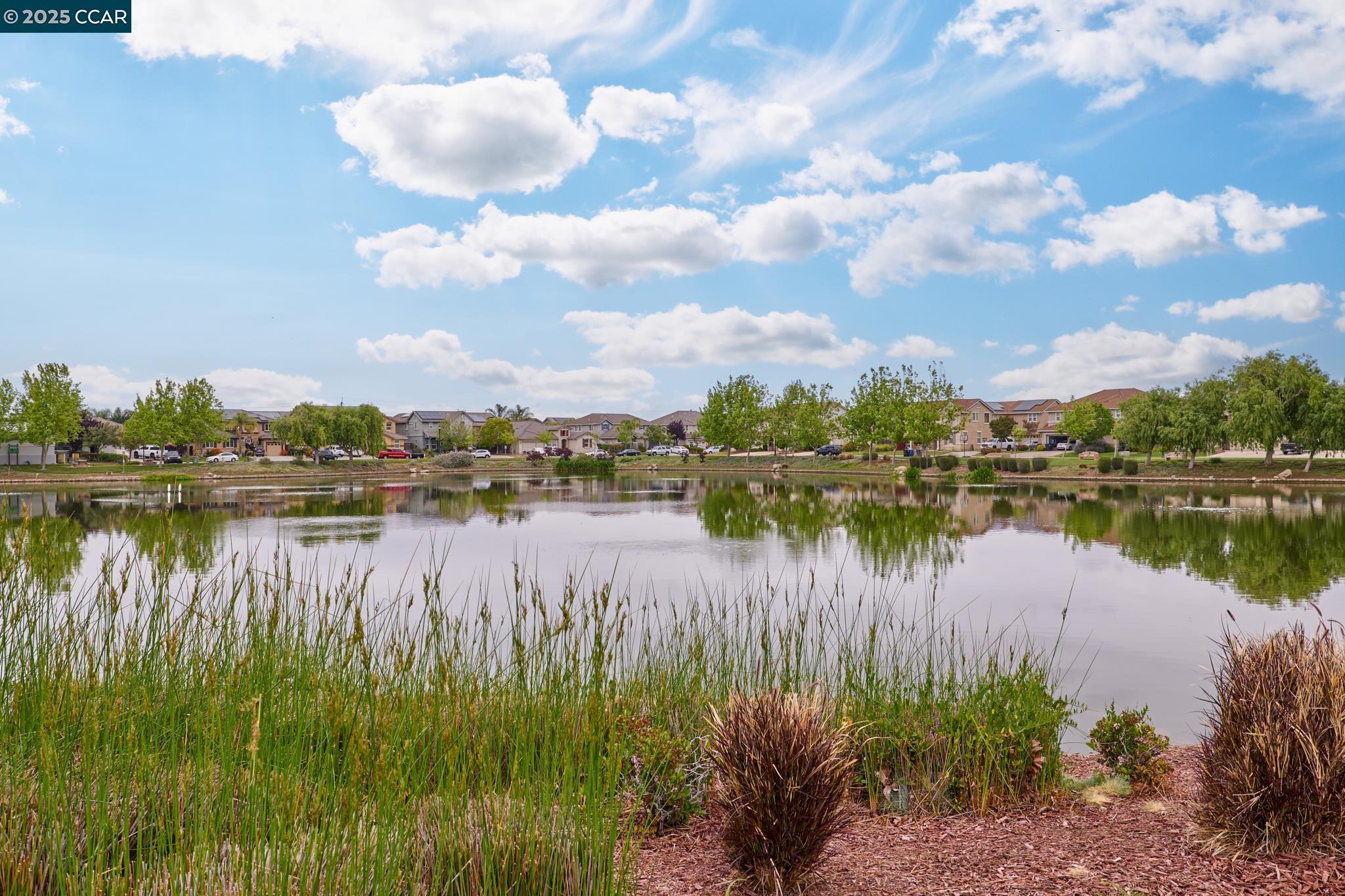 Detail Gallery Image 7 of 38 For 4874 Snowy Egret Way, Oakley,  CA 94561 - 4 Beds | 2/1 Baths