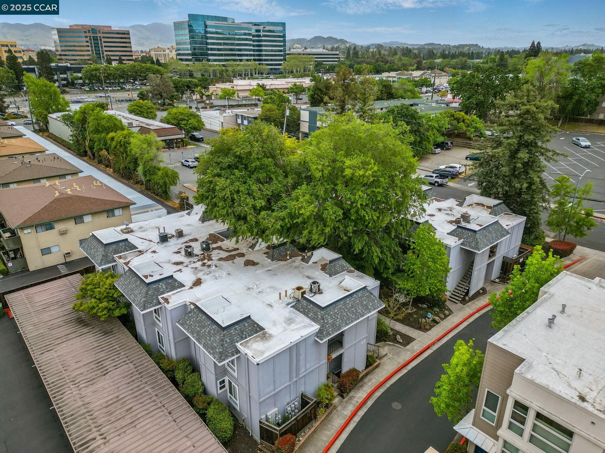 Photo #6: 41095211 Listing: Photo #6