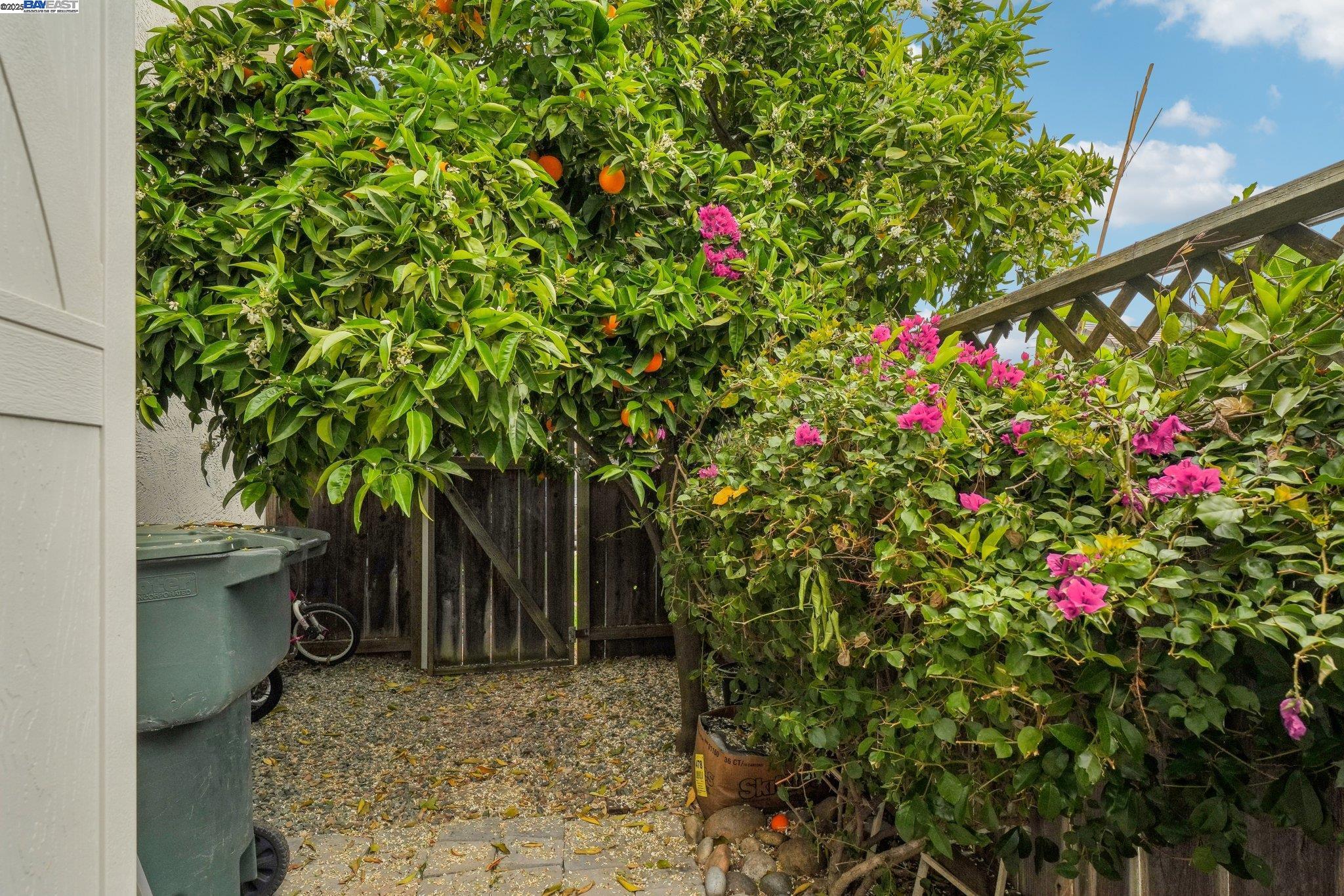 Detail Gallery Image 46 of 57 For 2986 Liberty Dr, Pleasanton,  CA 94566 - 3 Beds | 2/1 Baths