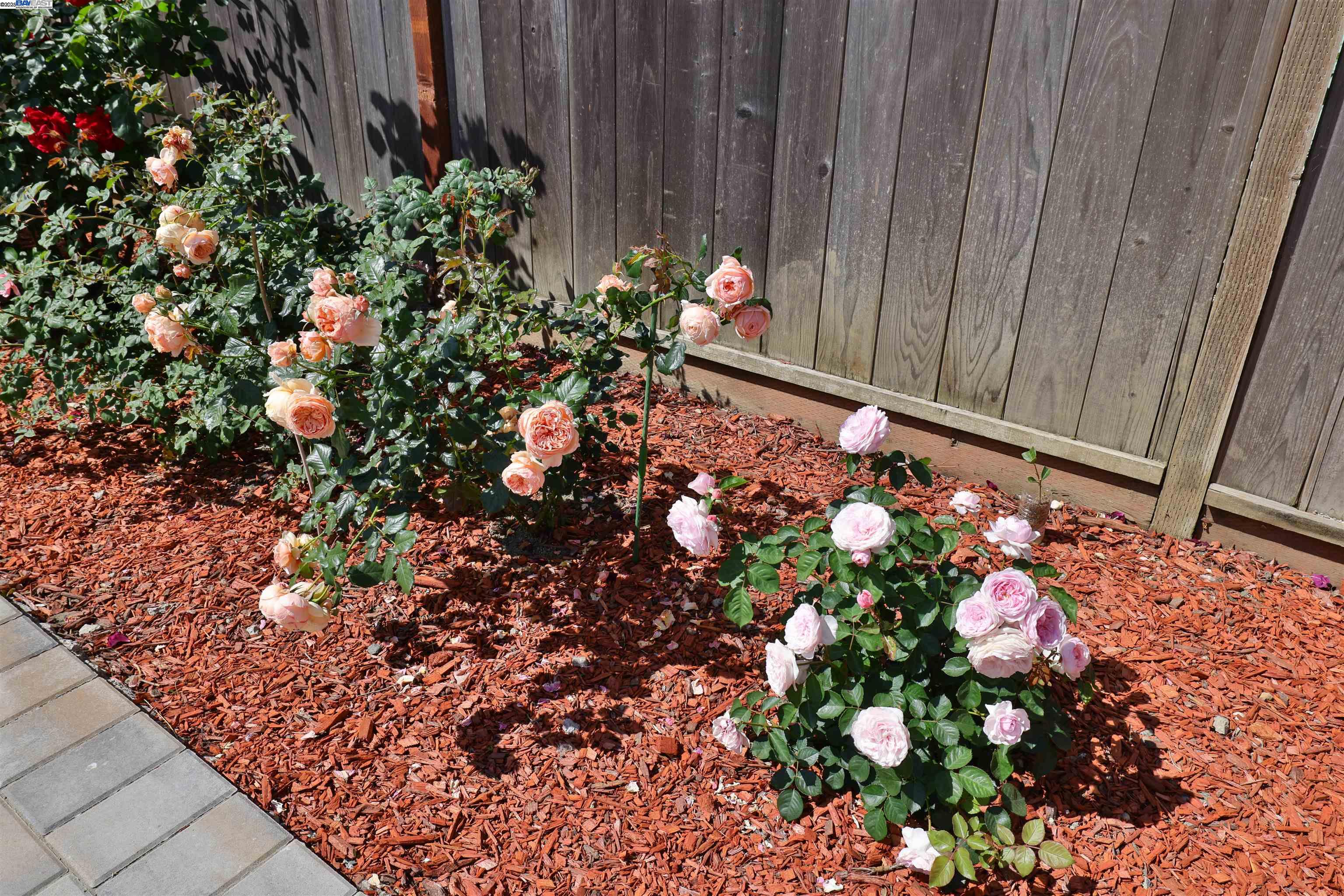 Detail Gallery Image 35 of 44 For 225 Kansas Way, Fremont,  CA 94539 - 3 Beds | 2 Baths