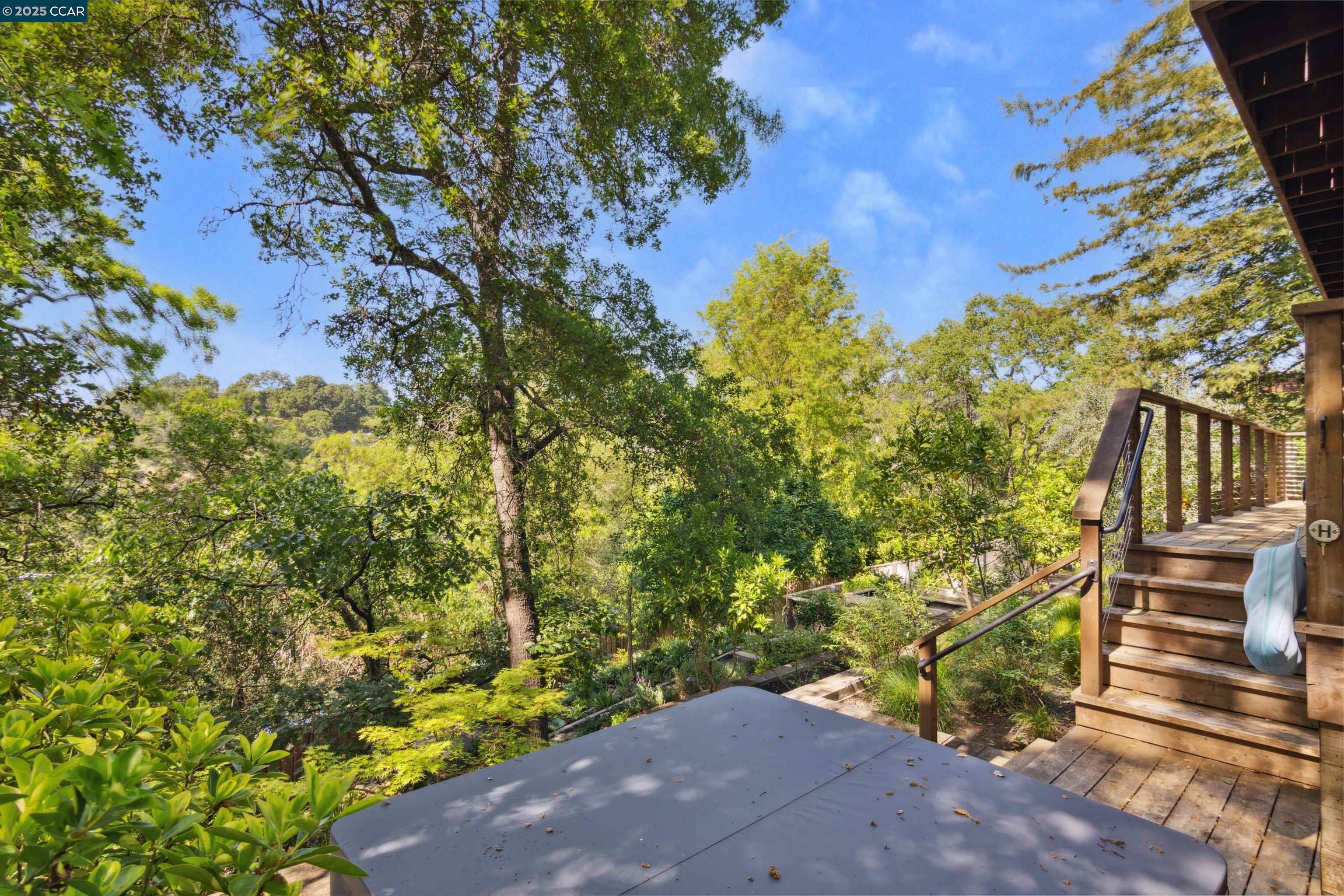 20 Mira Loma Rd, Orinda, California 94563, 3 Bedrooms Bedrooms, 8 Rooms Rooms,3 BathroomsBathrooms,Residential Lease,For Rent,20 Mira Loma Rd,41095229