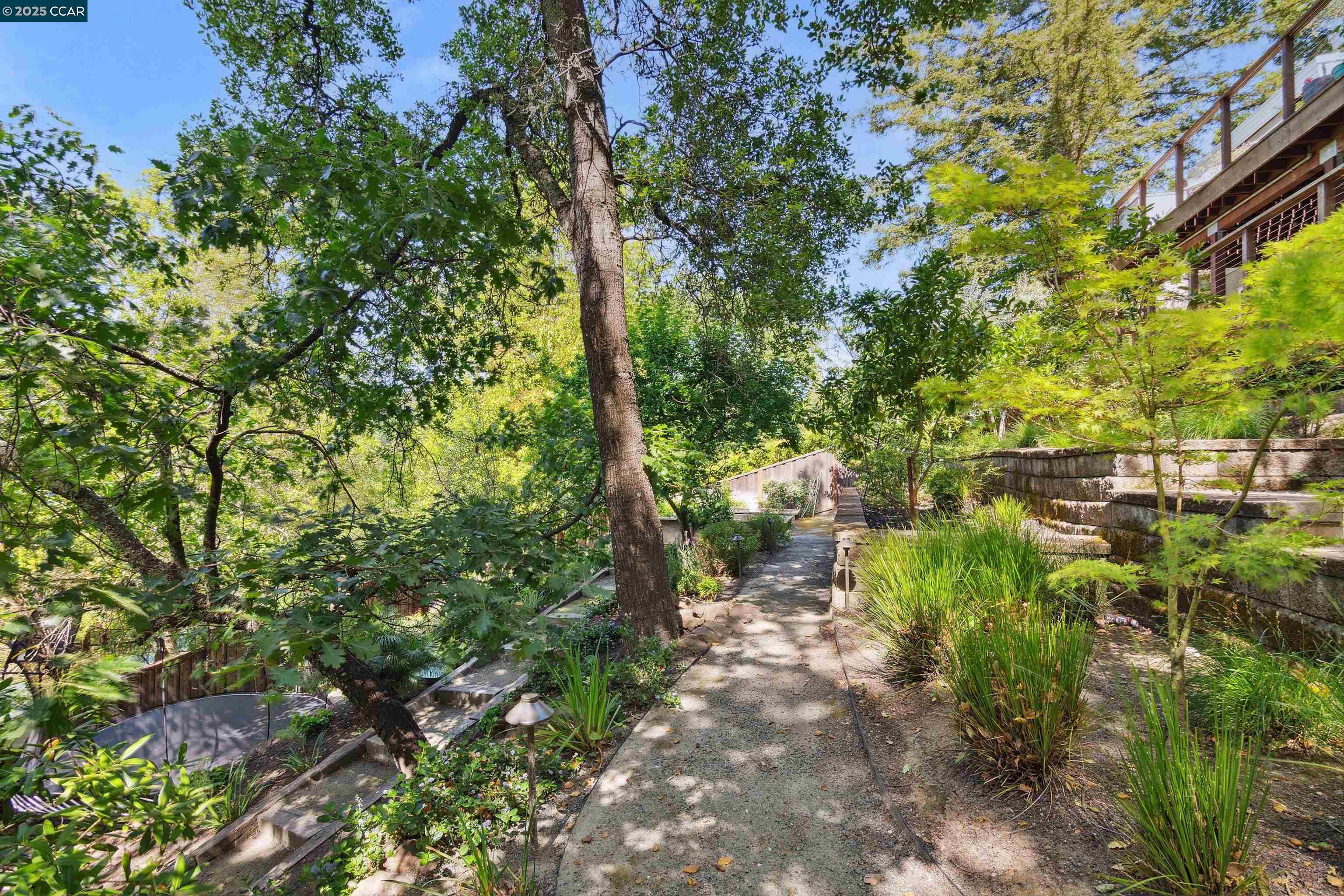 20 Mira Loma Rd, Orinda, California 94563, 3 Bedrooms Bedrooms, 8 Rooms Rooms,3 BathroomsBathrooms,Residential Lease,For Rent,20 Mira Loma Rd,41095229