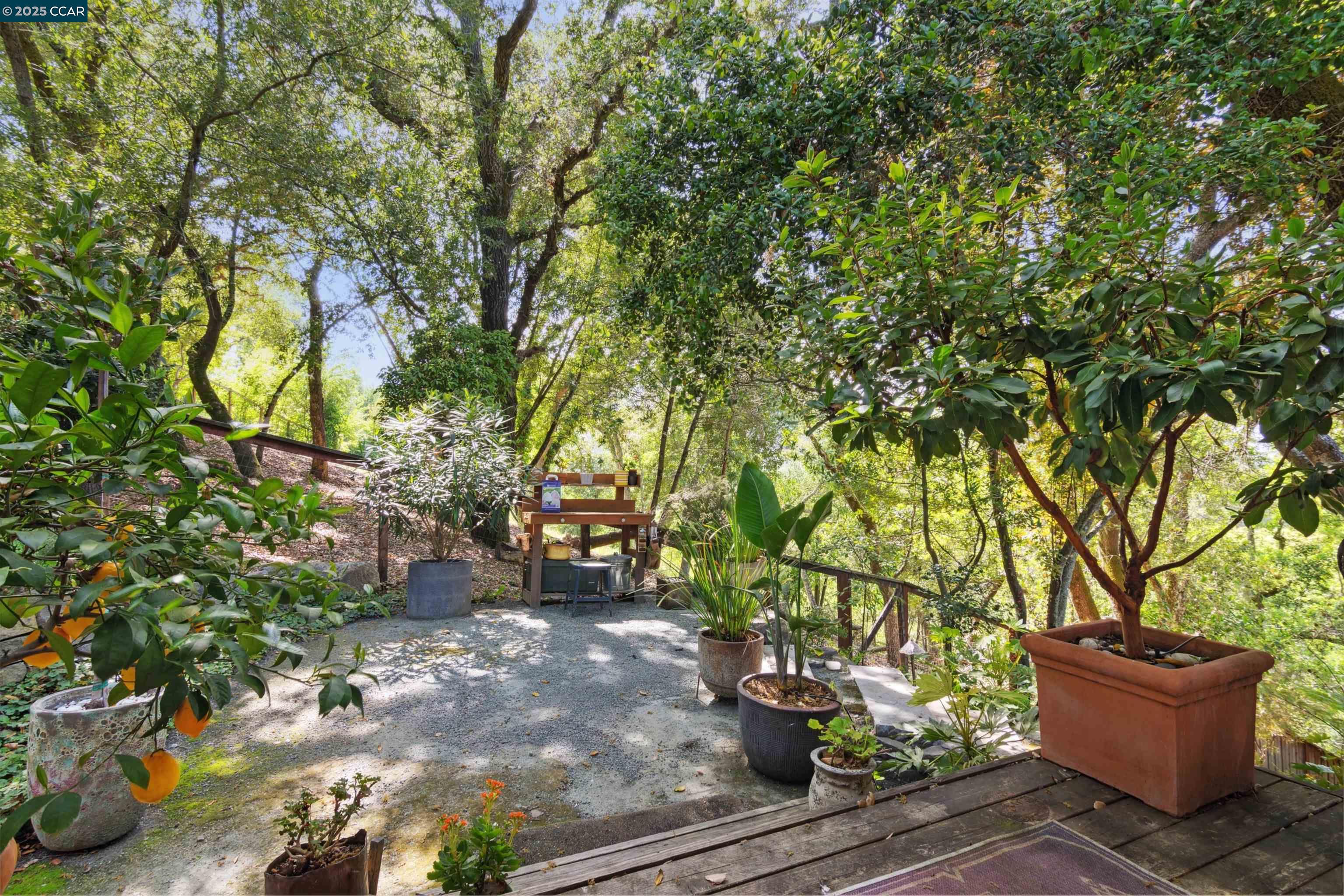 20 Mira Loma Rd, Orinda, California 94563, 3 Bedrooms Bedrooms, 8 Rooms Rooms,3 BathroomsBathrooms,Residential Lease,For Rent,20 Mira Loma Rd,41095229