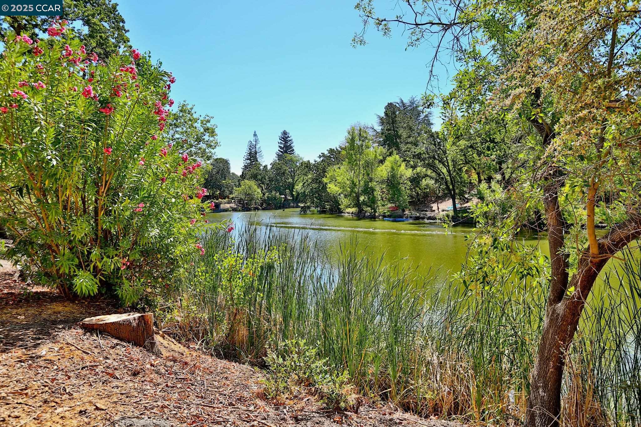 Detail Gallery Image 41 of 45 For 241 Lombardi Cir, Walnut Creek,  CA 94598 - 3 Beds | 2 Baths