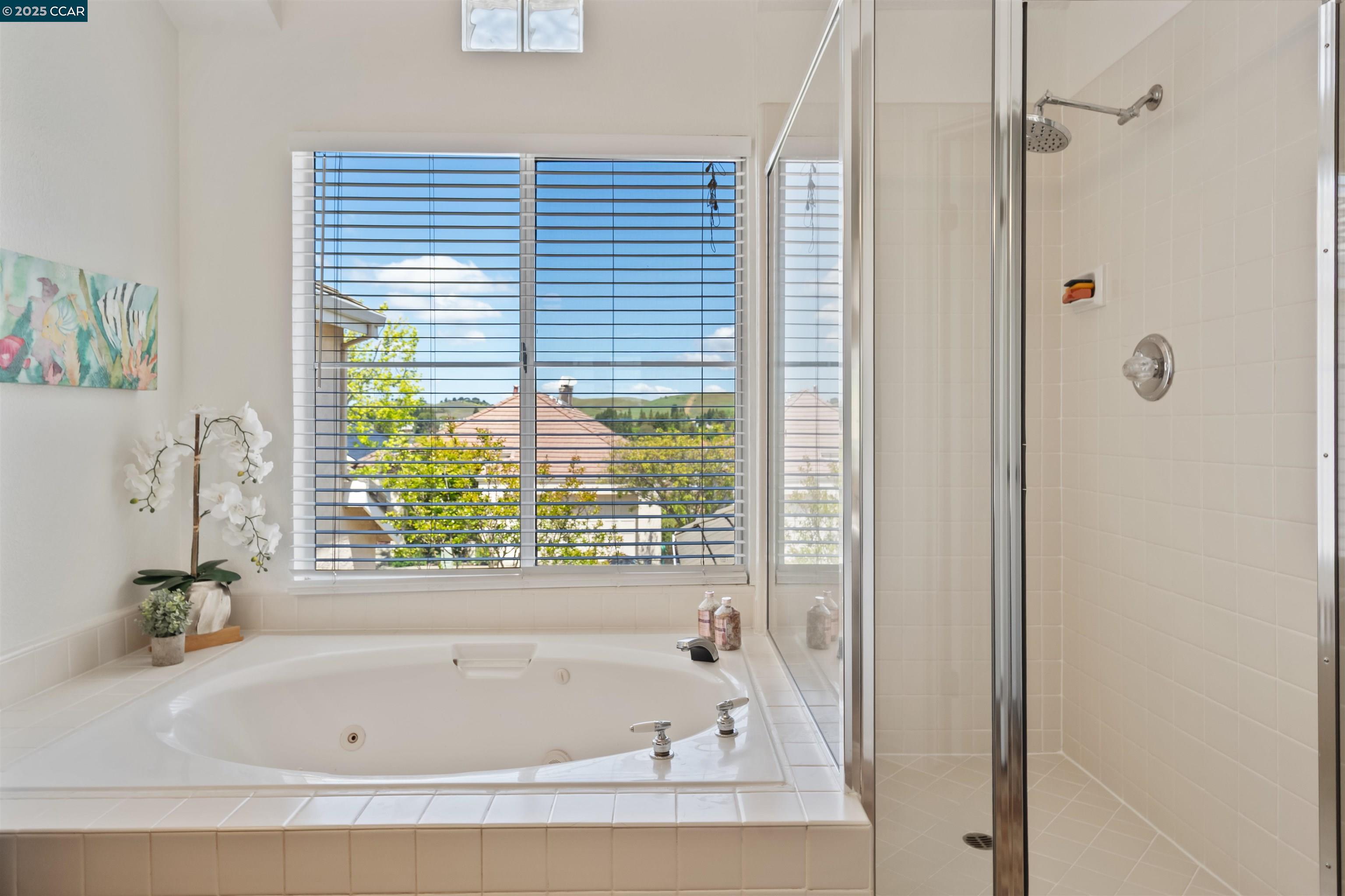 Detail Gallery Image 24 of 48 For 6178 Lakeview Cir, San Ramon,  CA 94582 - 2 Beds | 2/1 Baths