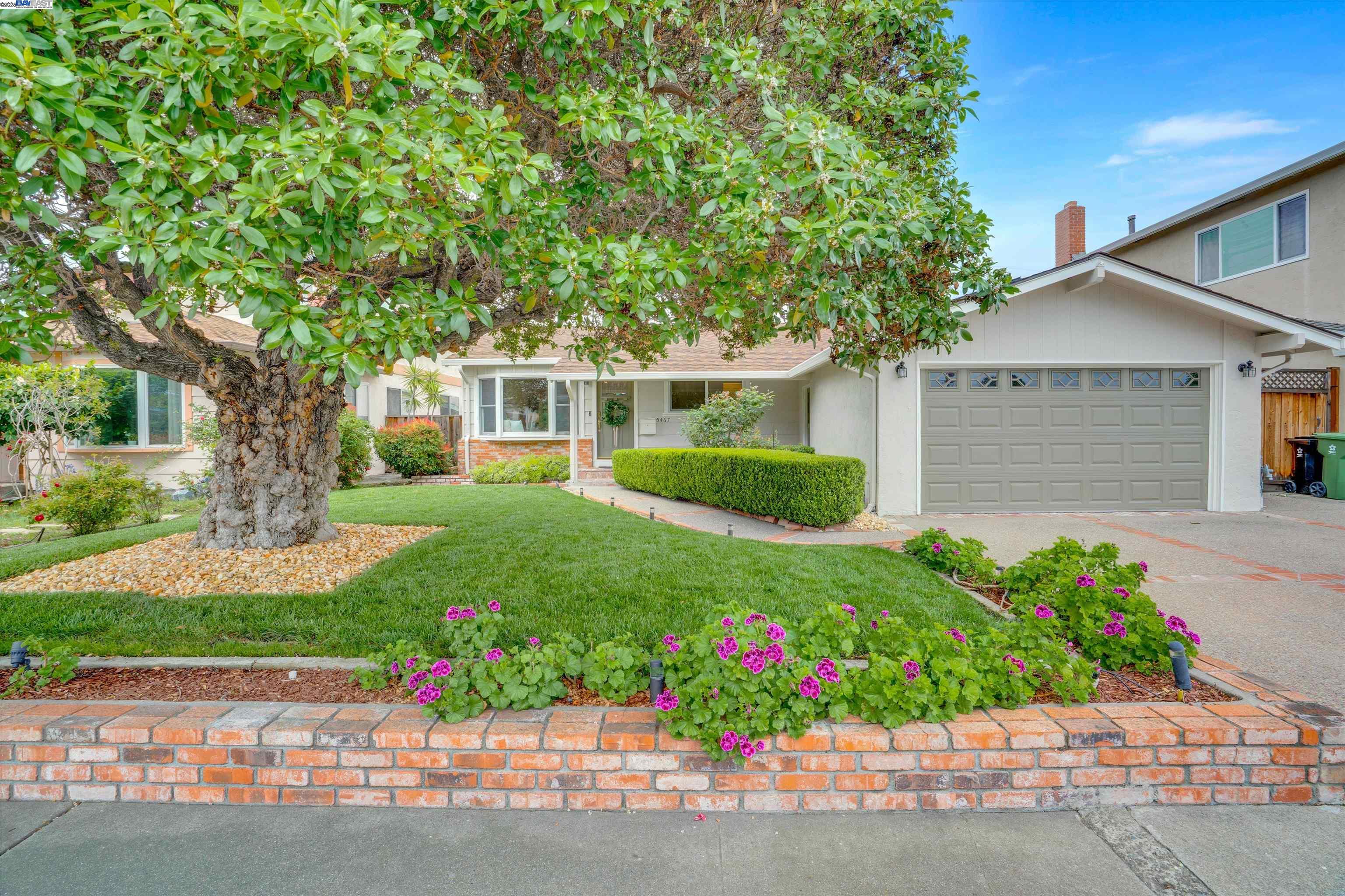 Detail Gallery Image 1 of 1 For 5467 Borgia Rd, Fremont,  CA 94538 - 3 Beds | 2 Baths