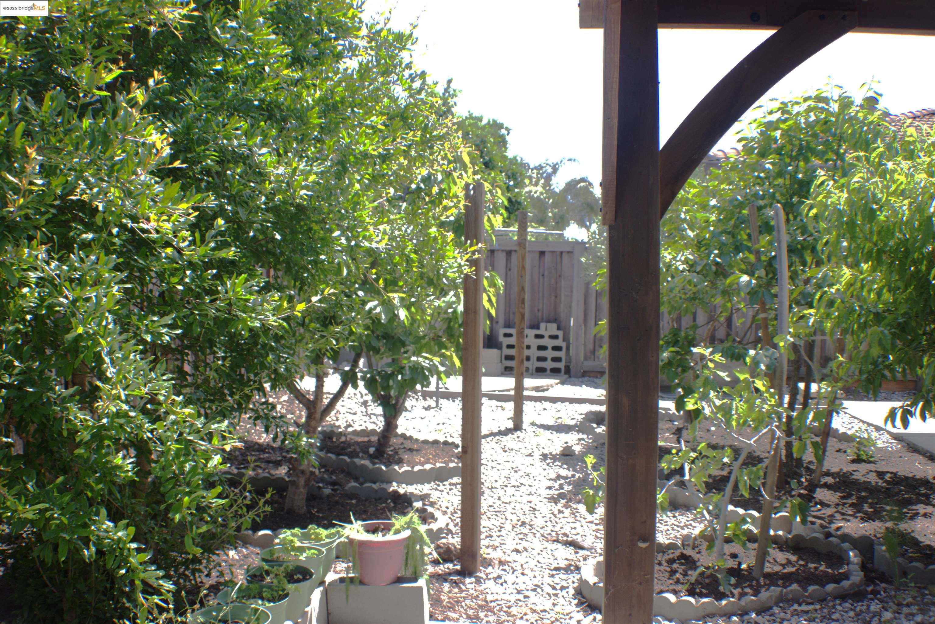 Detail Gallery Image 41 of 54 For 1354 Maple Dr, Oakley,  CA 94561 - 4 Beds | 3/1 Baths