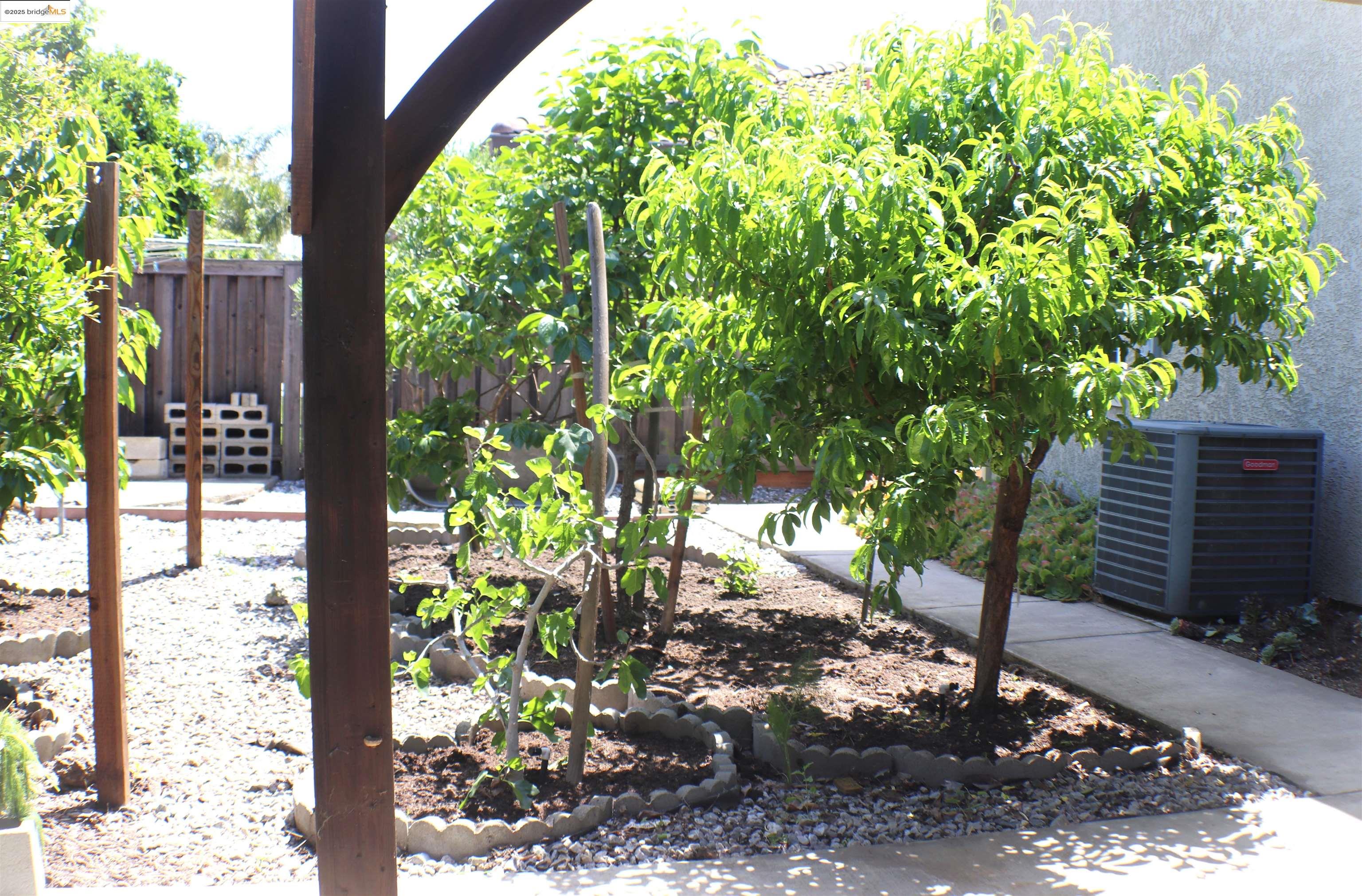 Detail Gallery Image 42 of 54 For 1354 Maple Dr, Oakley,  CA 94561 - 4 Beds | 3/1 Baths