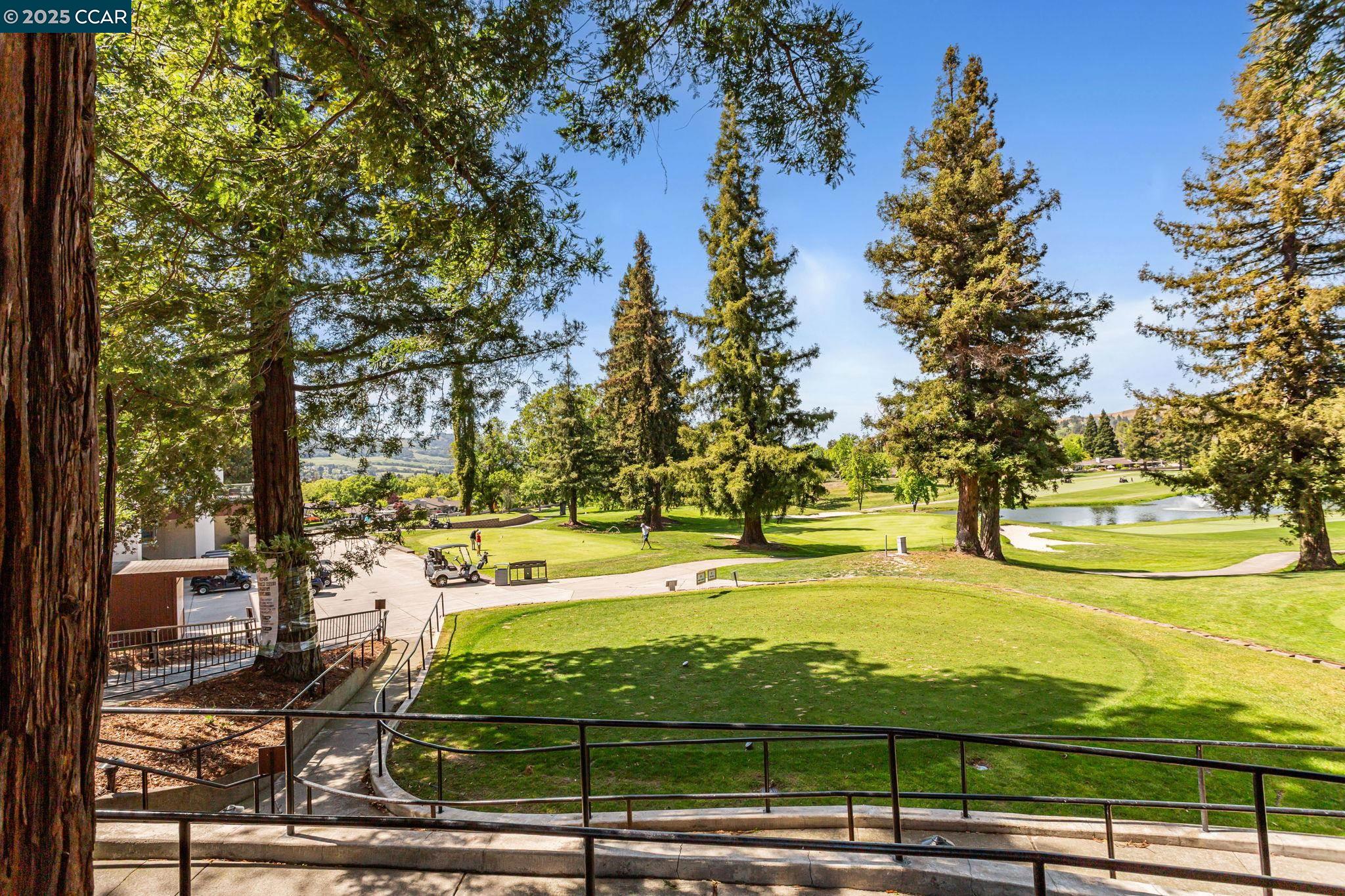 Photo #36: 41095469 Listing: Photo #36