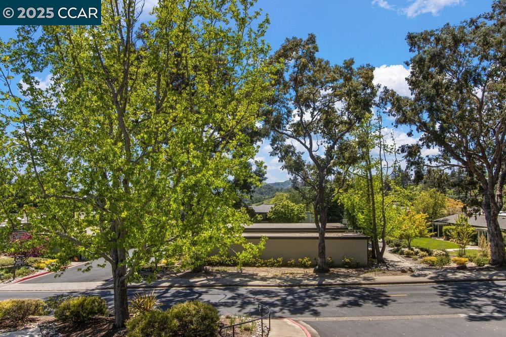 Photo #37: 41095471 Listing: Photo #37