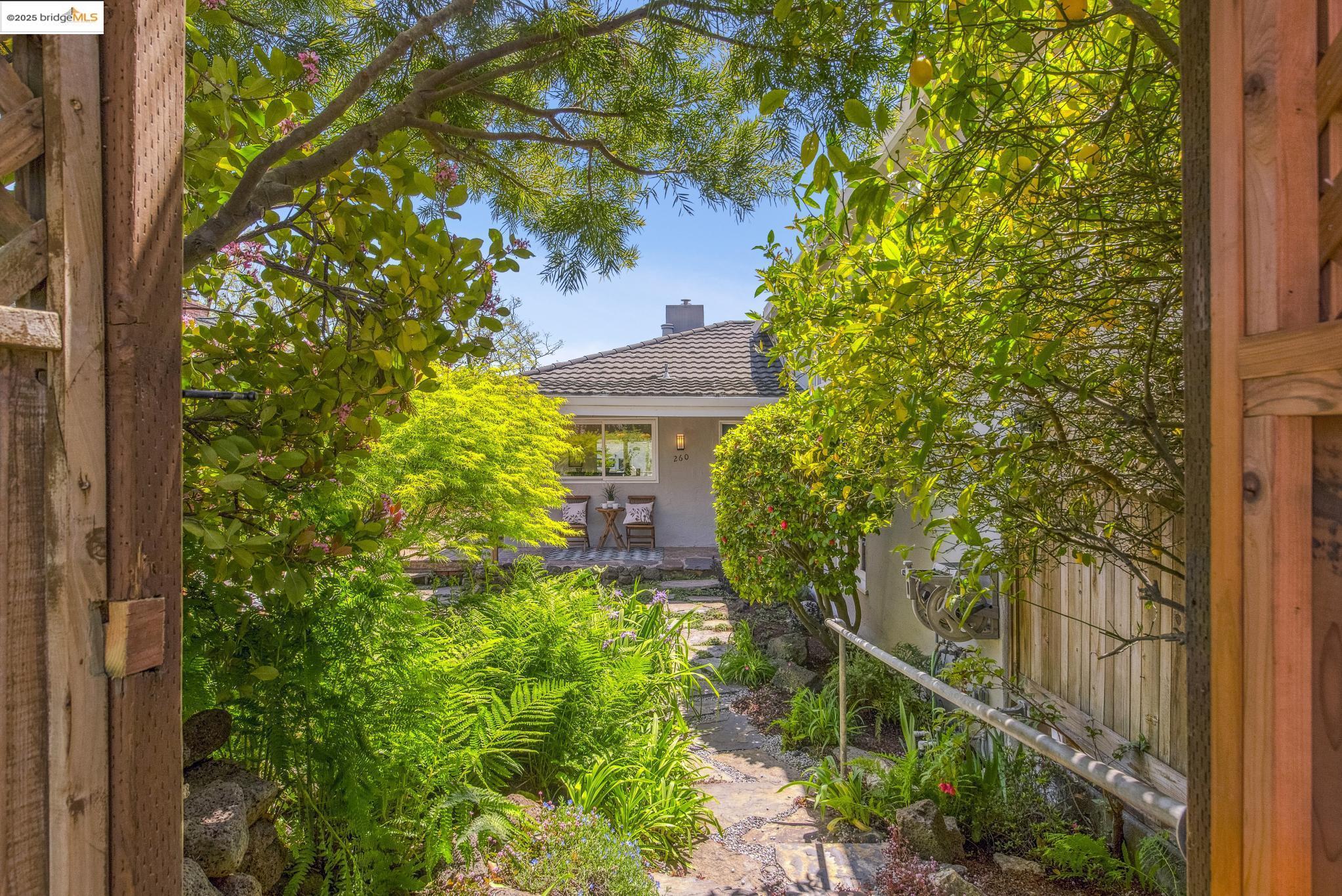 Detail Gallery Image 3 of 52 For 260 Willamette Ave, Kensington,  CA 94708 - 4 Beds | 2 Baths