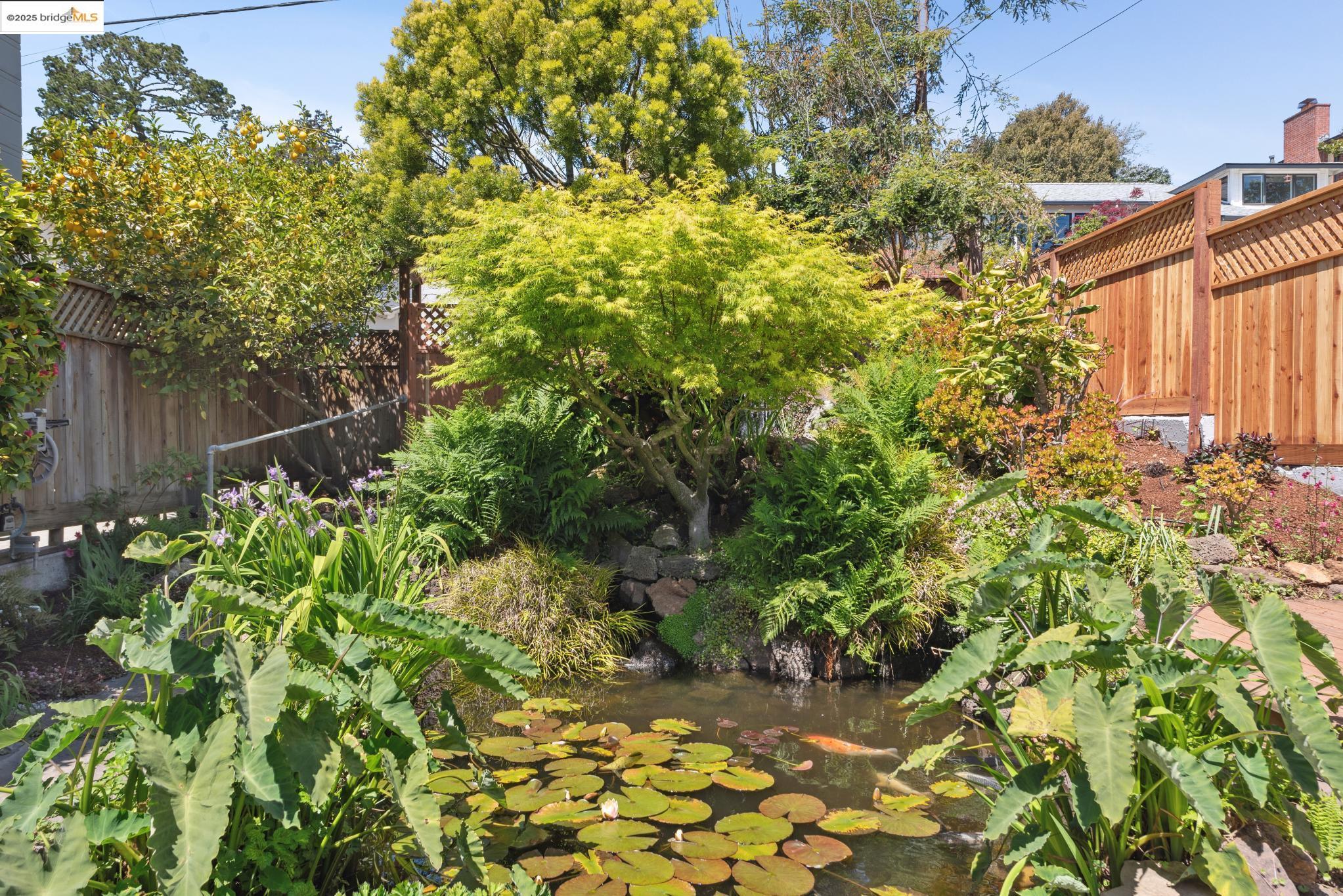Detail Gallery Image 22 of 52 For 260 Willamette Ave, Kensington,  CA 94708 - 4 Beds | 2 Baths