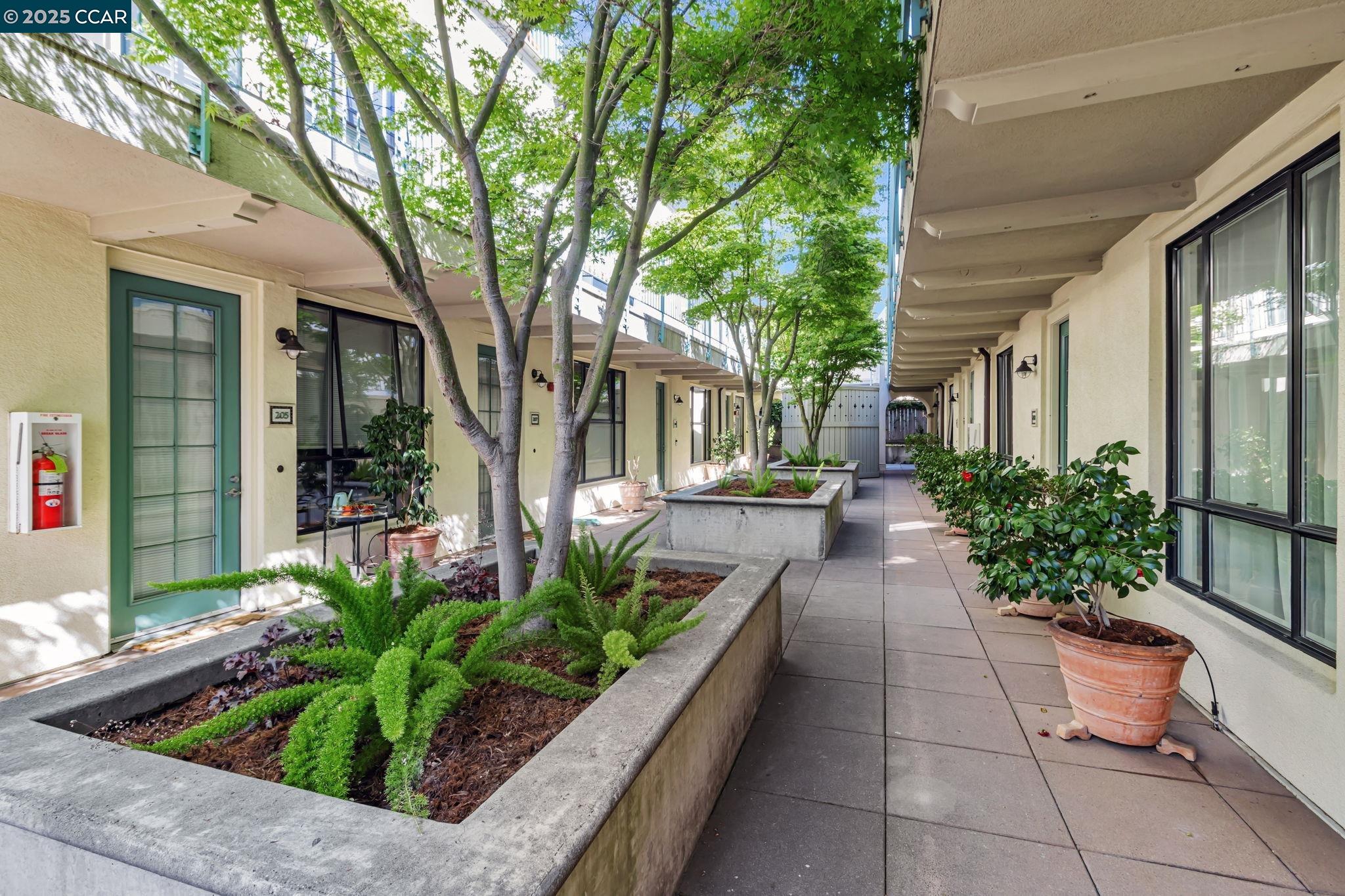 4395 Piedmont Ave # P208, Oakland, California 94611, 1 Bedroom Bedrooms, 3 Rooms Rooms,1 BathroomBathrooms,Residential,For Sale,4395 Piedmont Ave # P208,41095578