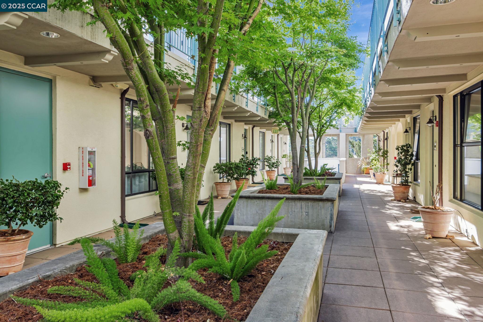 4395 Piedmont Ave # P208, Oakland, California 94611, 1 Bedroom Bedrooms, 3 Rooms Rooms,1 BathroomBathrooms,Residential,For Sale,4395 Piedmont Ave # P208,41095578