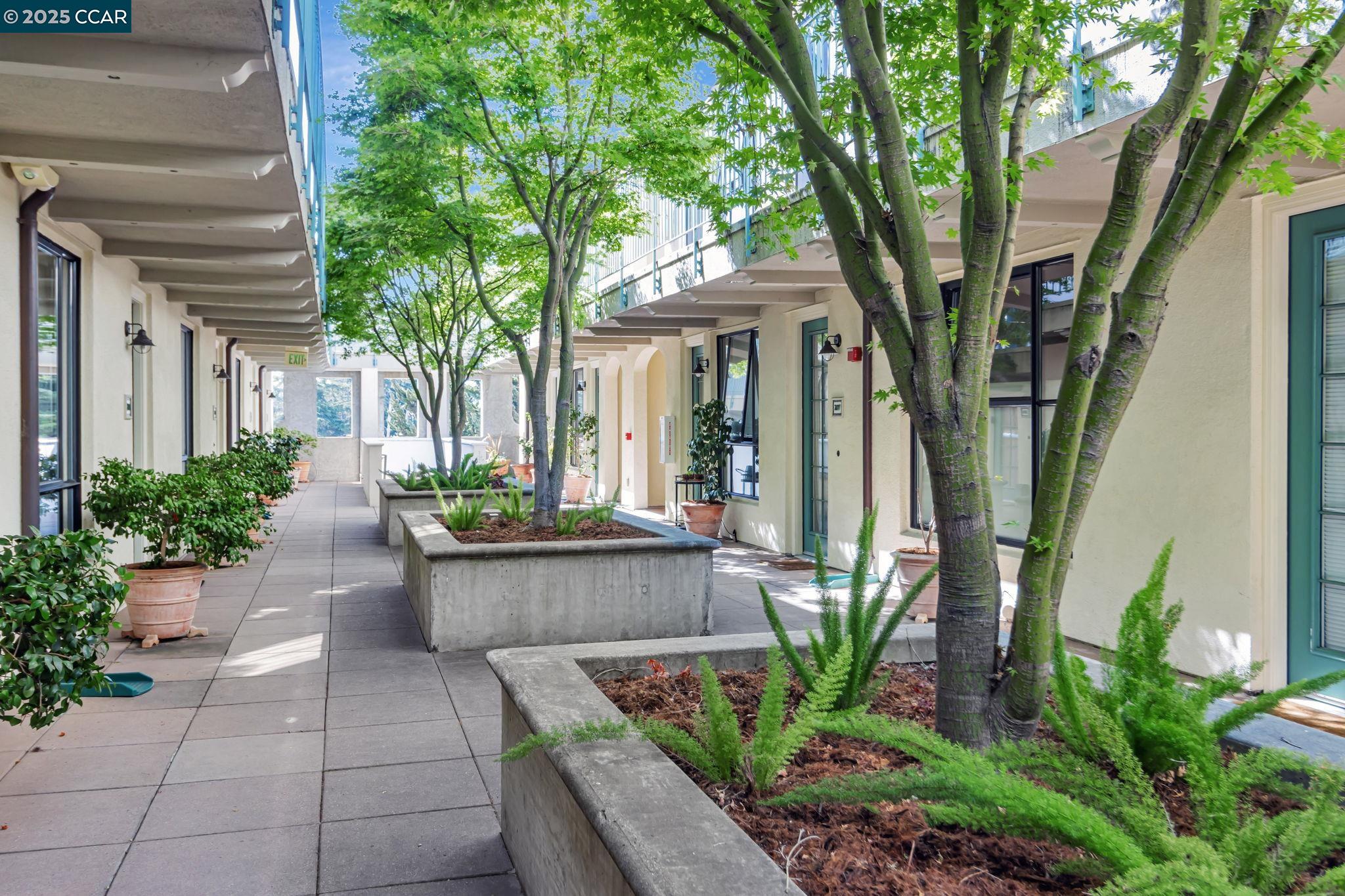 4395 Piedmont Ave # P208, Oakland, California 94611, 1 Bedroom Bedrooms, 3 Rooms Rooms,1 BathroomBathrooms,Residential,For Sale,4395 Piedmont Ave # P208,41095578