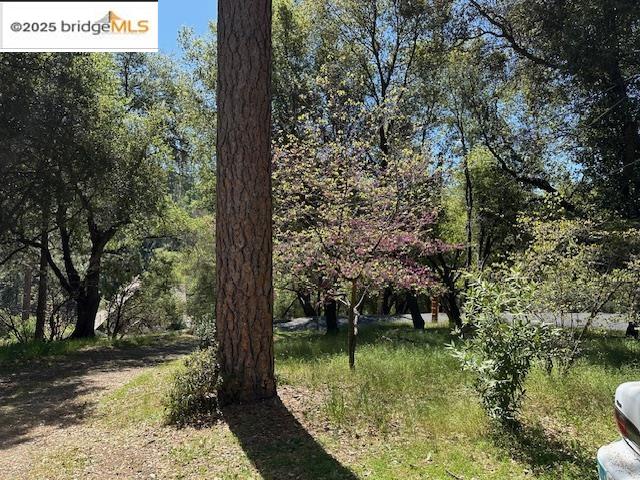 Detail Gallery Image 11 of 27 For 19732 Cottonwood Street, Groveland,  CA 95321 - 2 Beds | 1 Baths