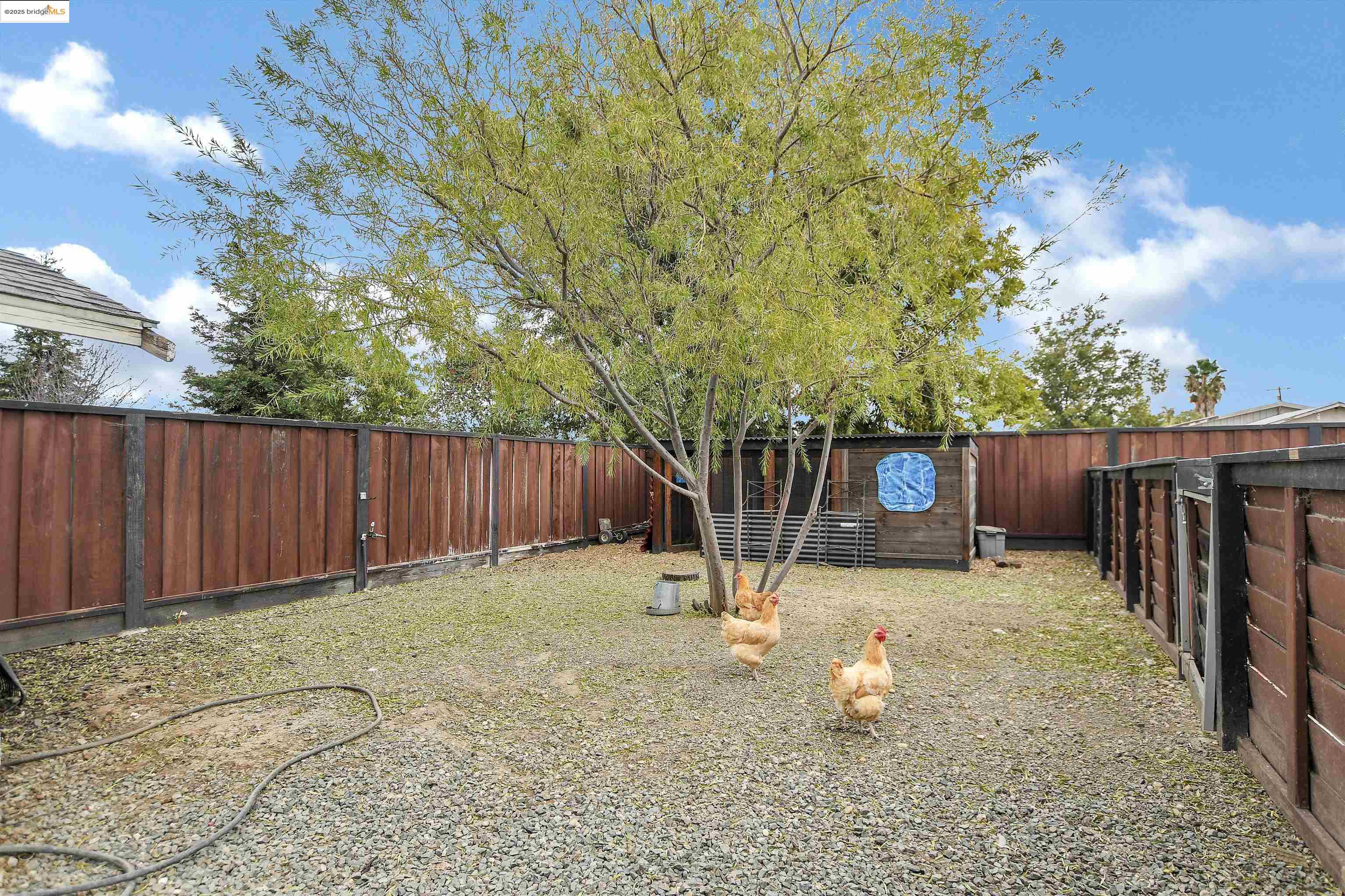 Detail Gallery Image 46 of 51 For 4828 Sellers Ave, Brentwood,  CA 94513 - 0 Beds | 2/1 Baths