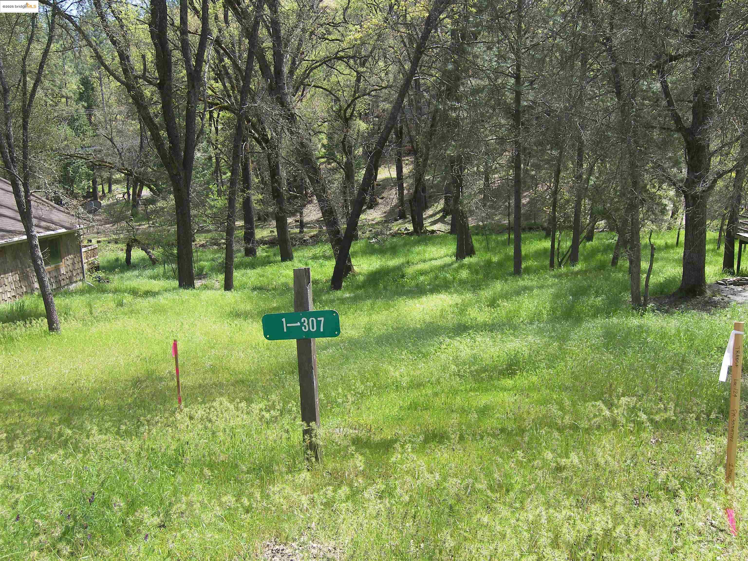 Detail Gallery Image 3 of 6 For 19545 Pleasant View Dr., Groveland,  CA 95321 - – Beds | – Baths