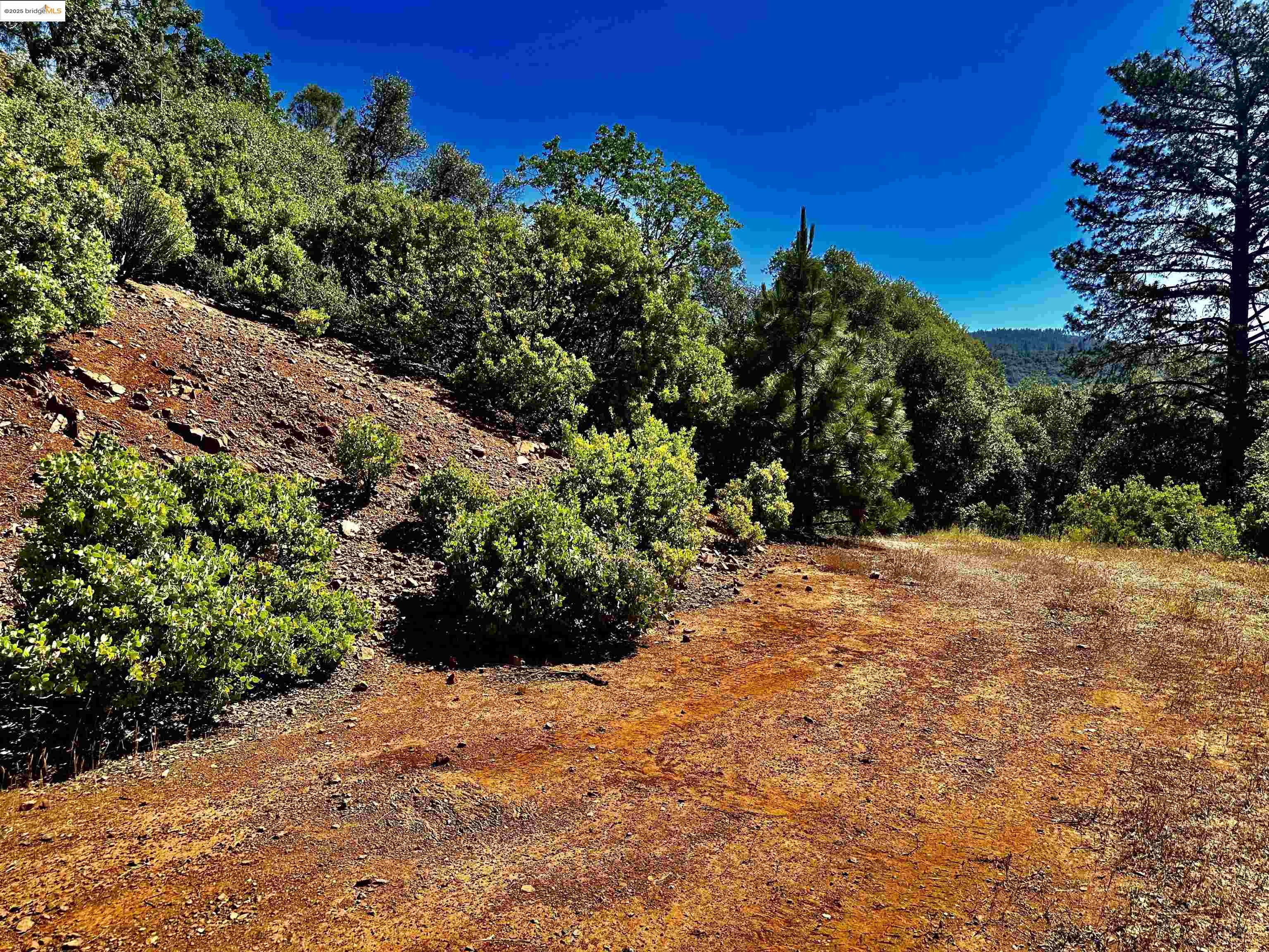 Detail Gallery Image 11 of 21 For 20605 Eden Ln, Tuolumne,  CA 95379 - – Beds | – Baths