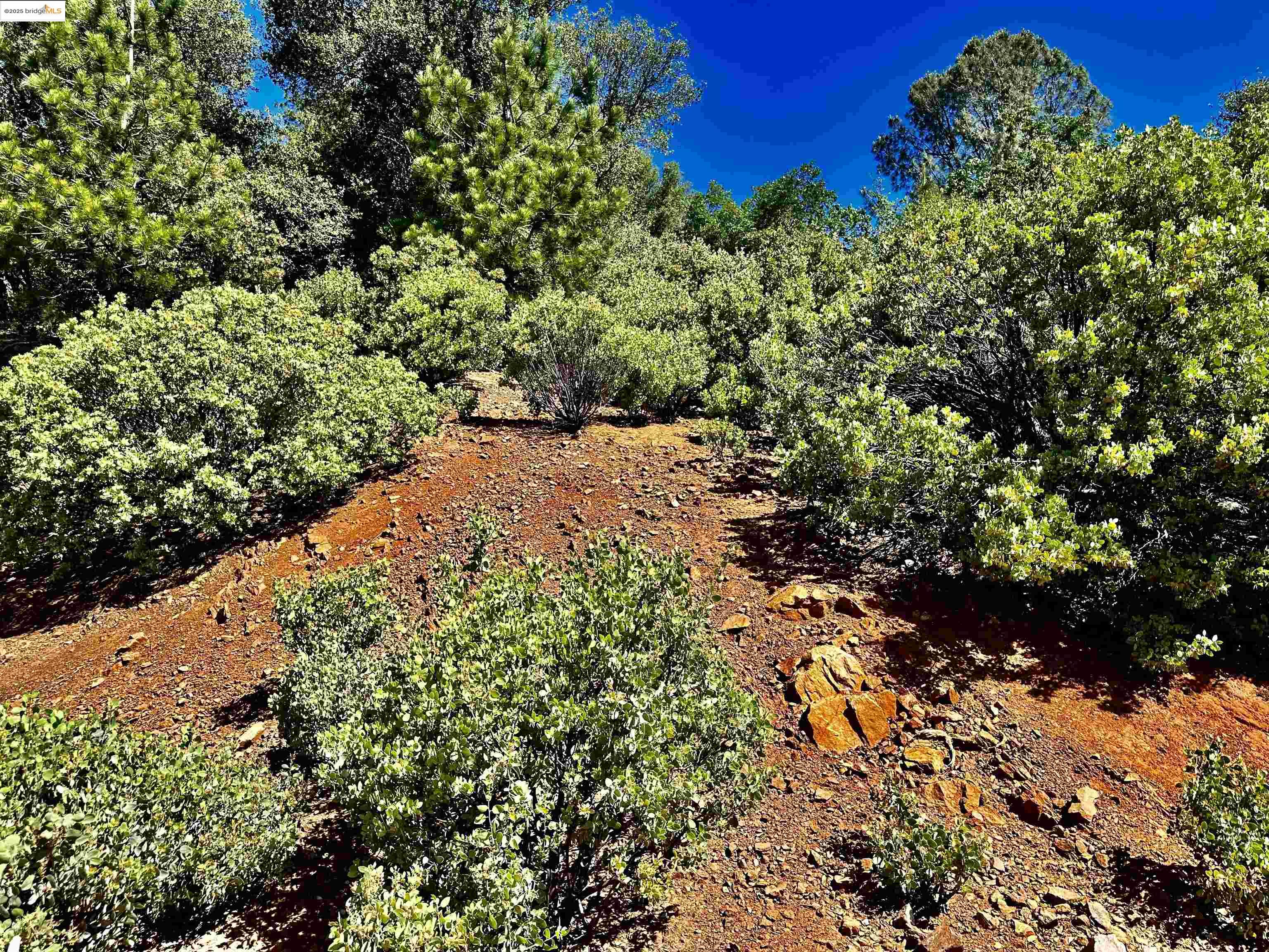 Detail Gallery Image 12 of 21 For 20605 Eden Ln, Tuolumne,  CA 95379 - – Beds | – Baths