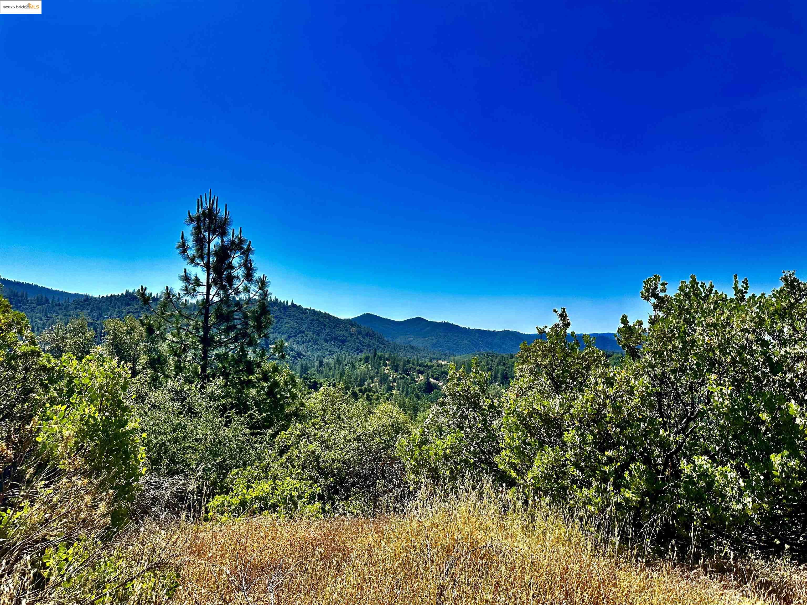 Detail Gallery Image 13 of 21 For 20605 Eden Ln, Tuolumne,  CA 95379 - – Beds | – Baths