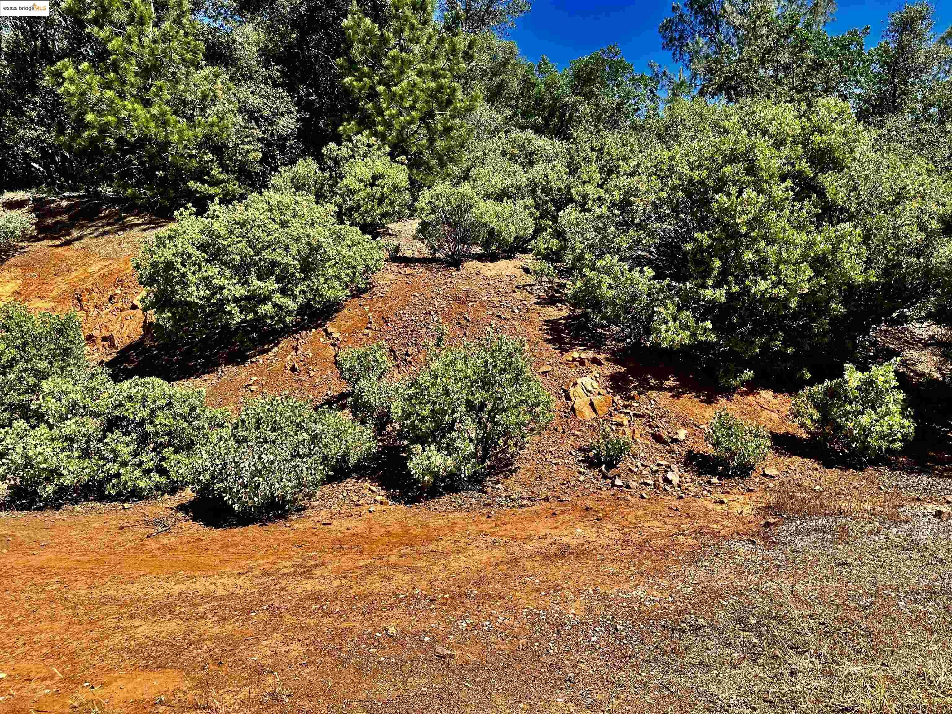 Detail Gallery Image 14 of 21 For 20605 Eden Ln, Tuolumne,  CA 95379 - – Beds | – Baths
