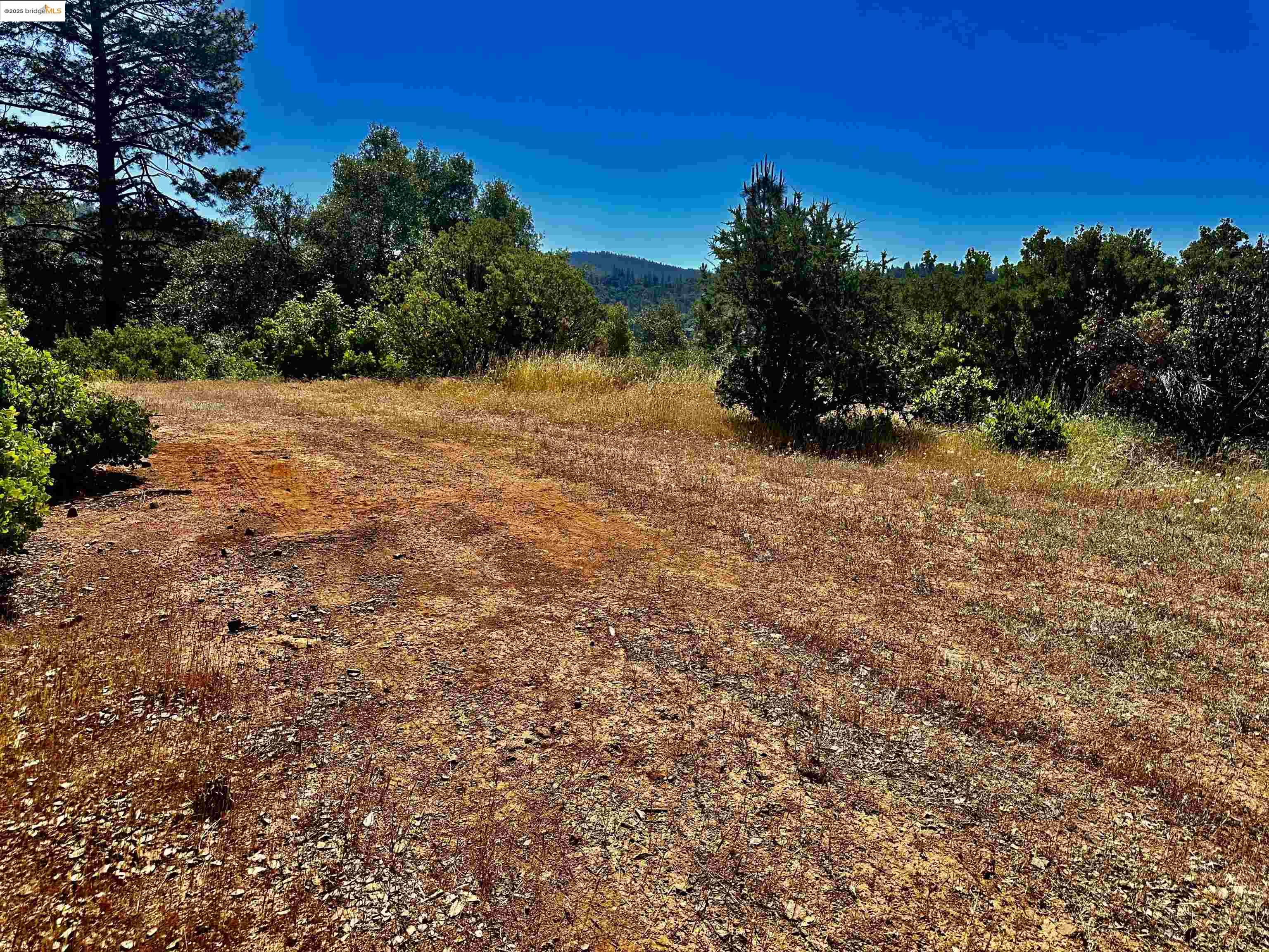Detail Gallery Image 16 of 21 For 20605 Eden Ln, Tuolumne,  CA 95379 - – Beds | – Baths