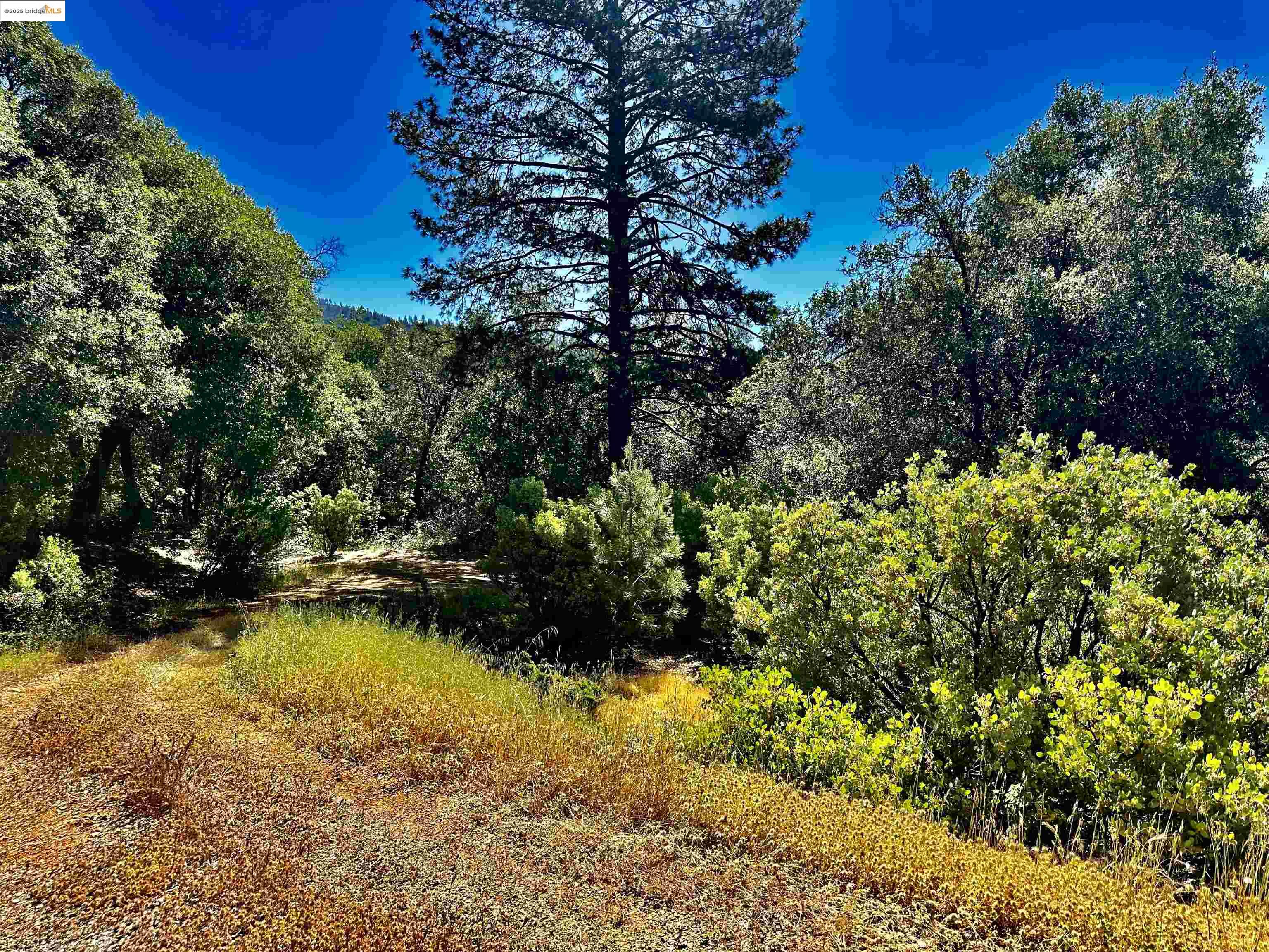 Detail Gallery Image 19 of 21 For 20605 Eden Ln, Tuolumne,  CA 95379 - – Beds | – Baths