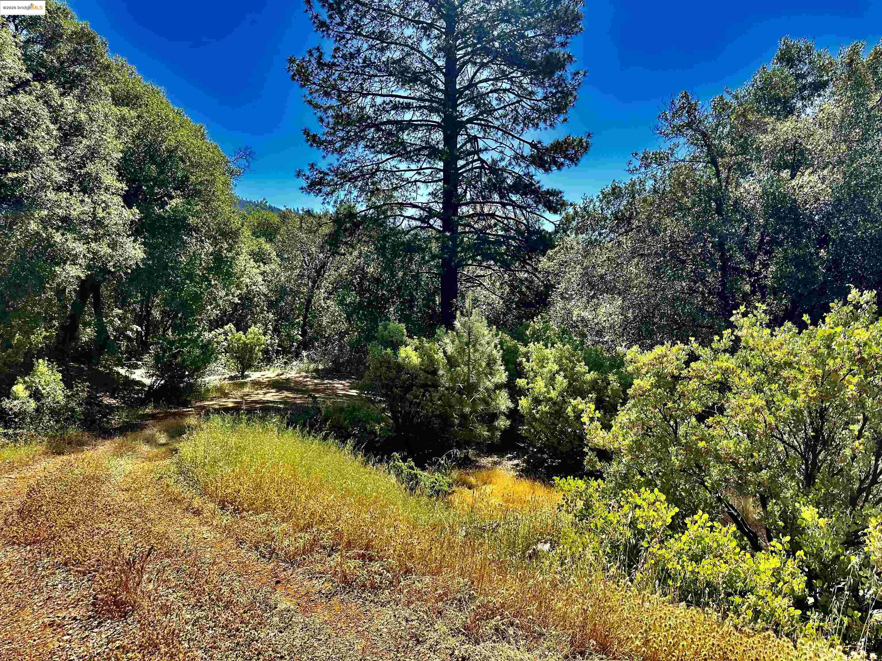 Detail Gallery Image 20 of 21 For 20605 Eden Ln, Tuolumne,  CA 95379 - – Beds | – Baths