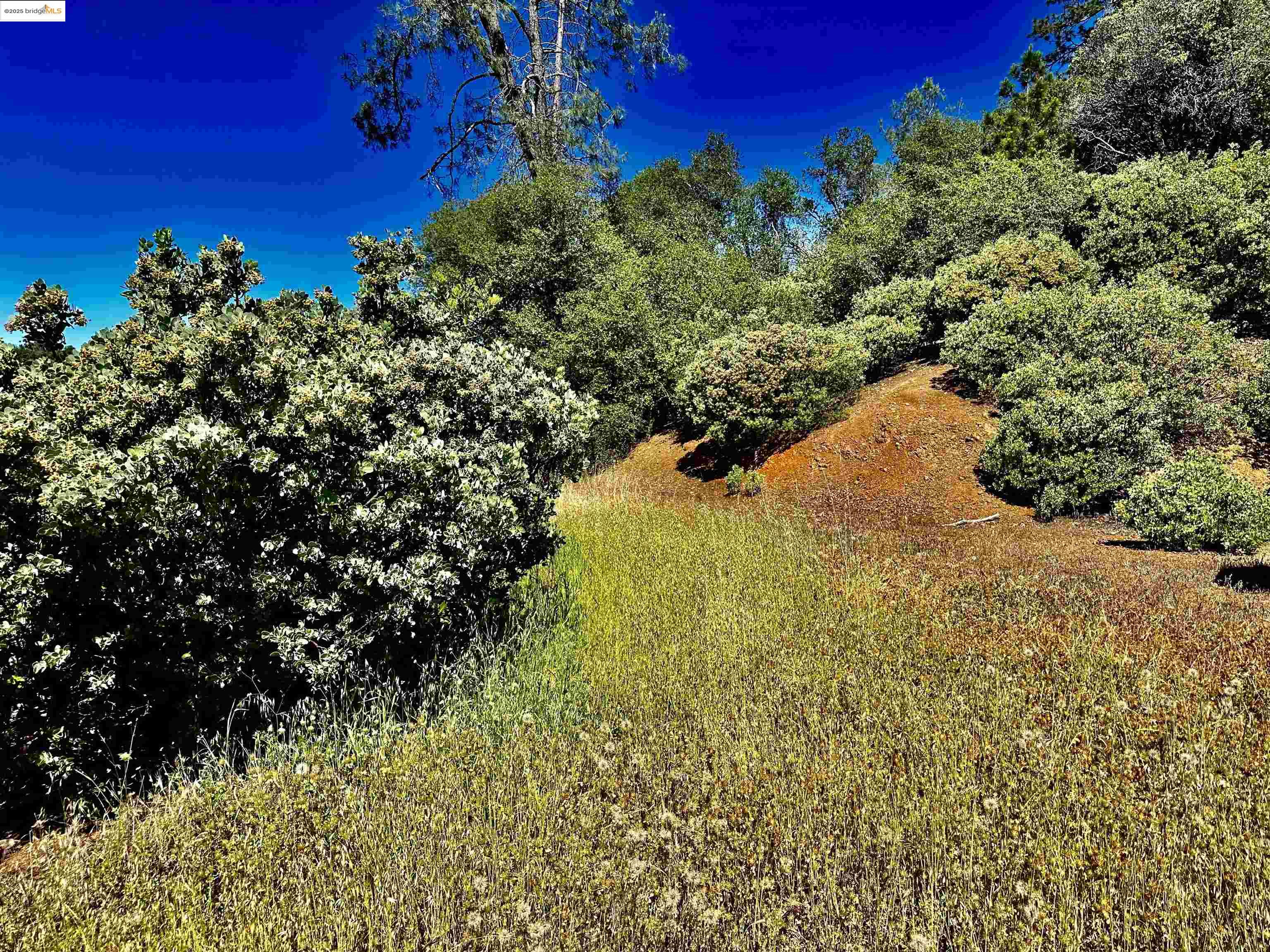Detail Gallery Image 5 of 21 For 20605 Eden Ln, Tuolumne,  CA 95379 - – Beds | – Baths