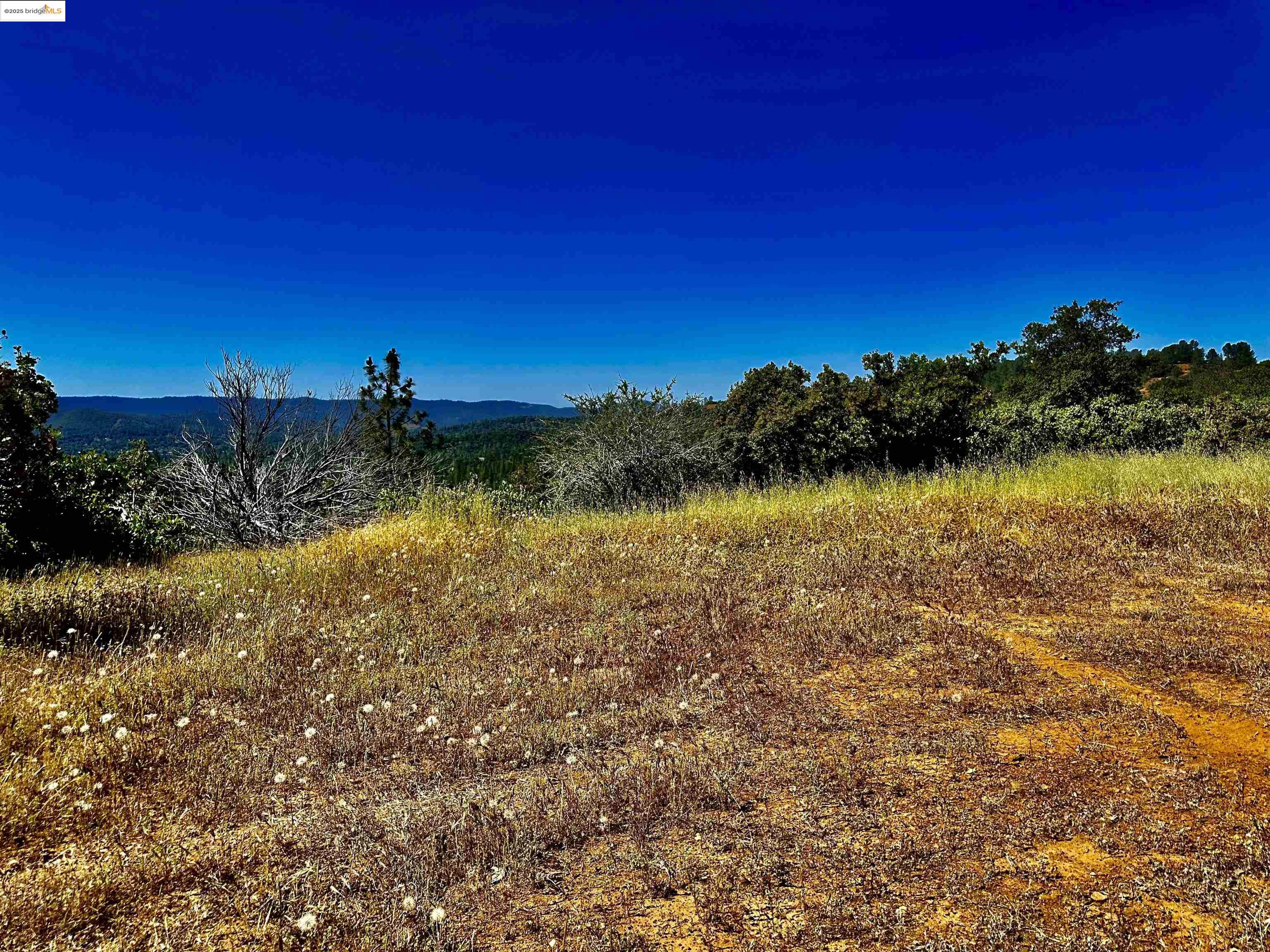 Detail Gallery Image 6 of 21 For 20605 Eden Ln, Tuolumne,  CA 95379 - – Beds | – Baths