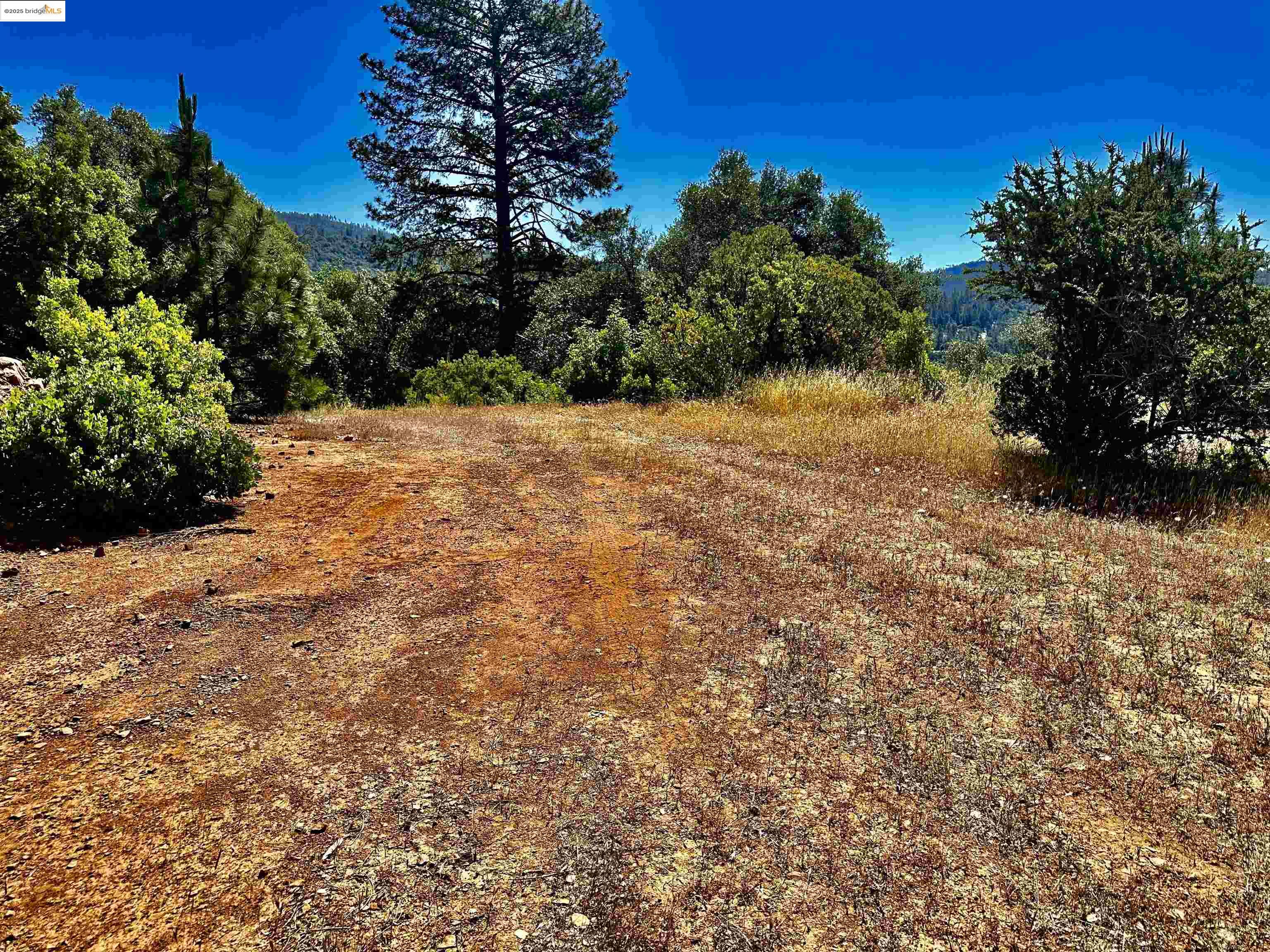 Detail Gallery Image 7 of 21 For 20605 Eden Ln, Tuolumne,  CA 95379 - – Beds | – Baths