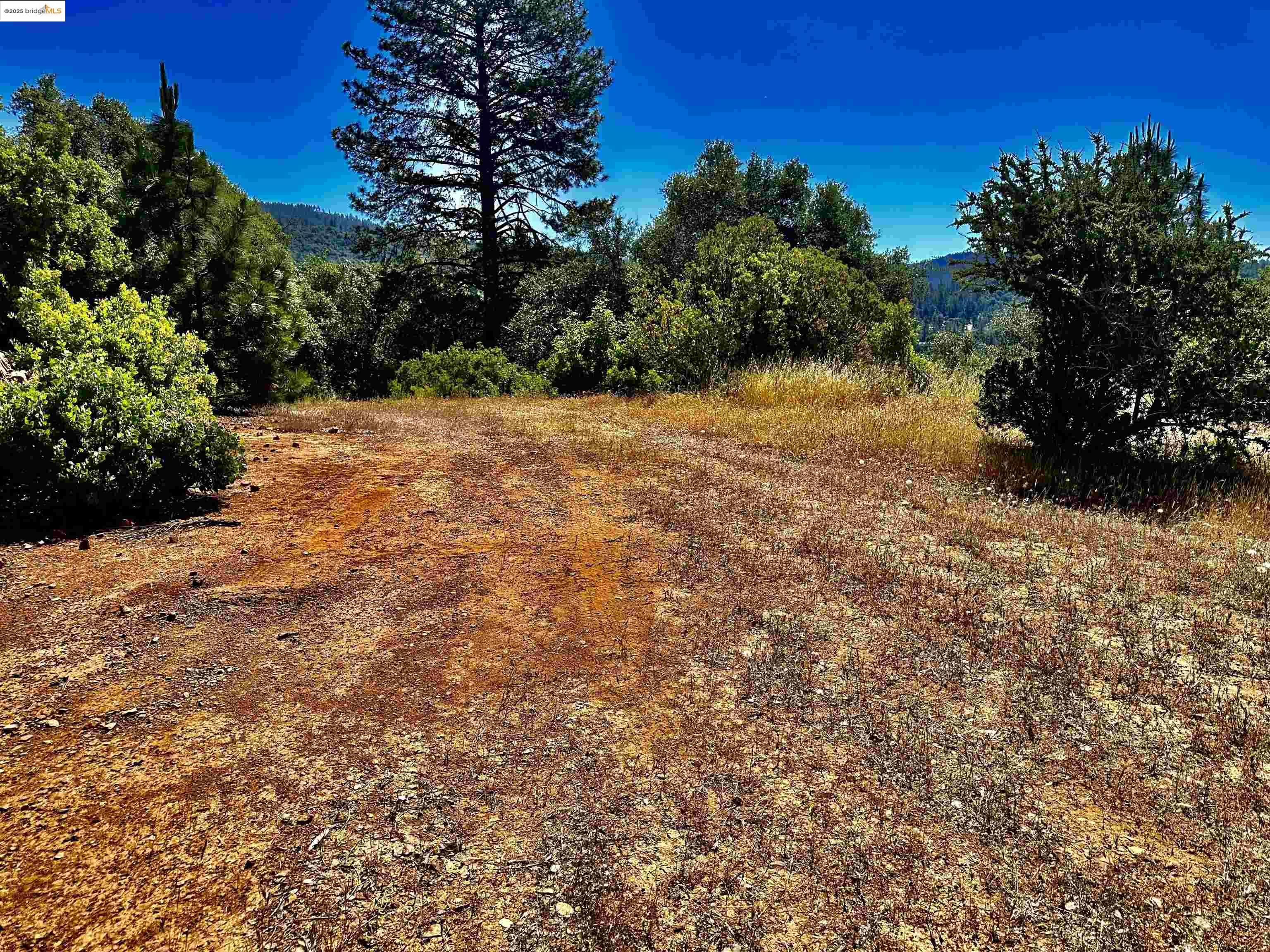 Detail Gallery Image 8 of 21 For 20605 Eden Ln, Tuolumne,  CA 95379 - – Beds | – Baths