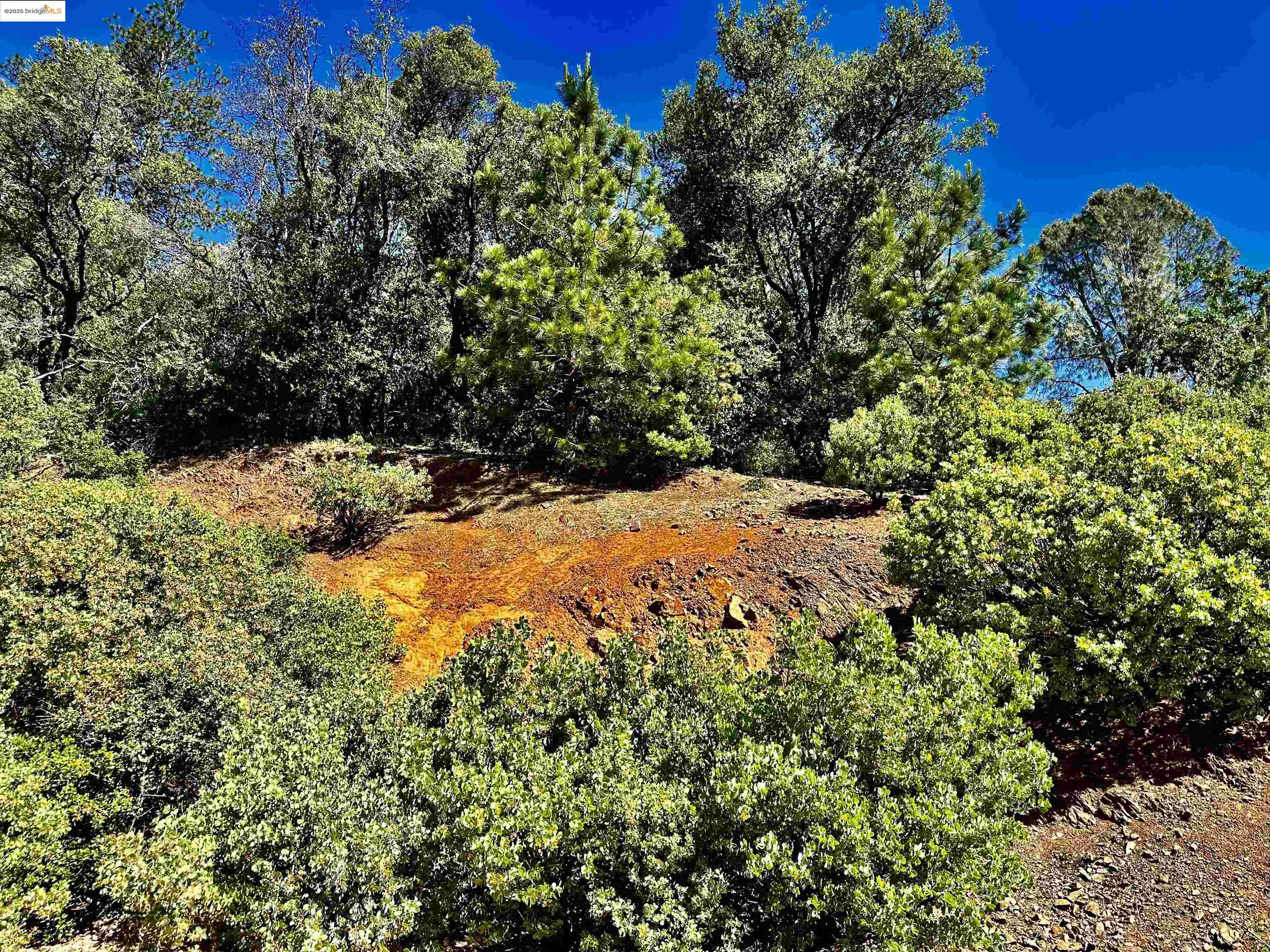 Detail Gallery Image 9 of 21 For 20605 Eden Ln, Tuolumne,  CA 95379 - – Beds | – Baths