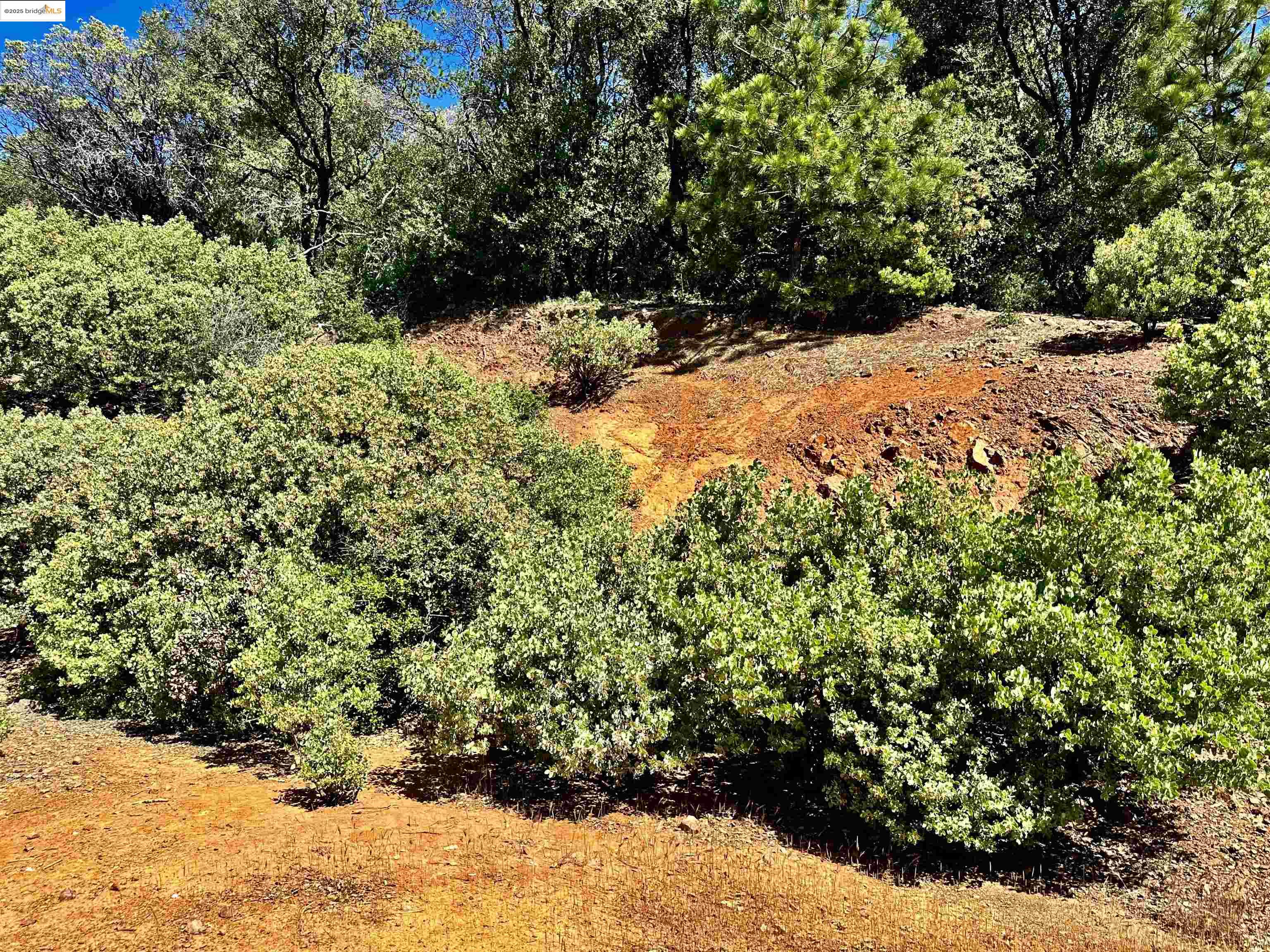 Detail Gallery Image 10 of 21 For 20605 Eden Ln, Tuolumne,  CA 95379 - – Beds | – Baths