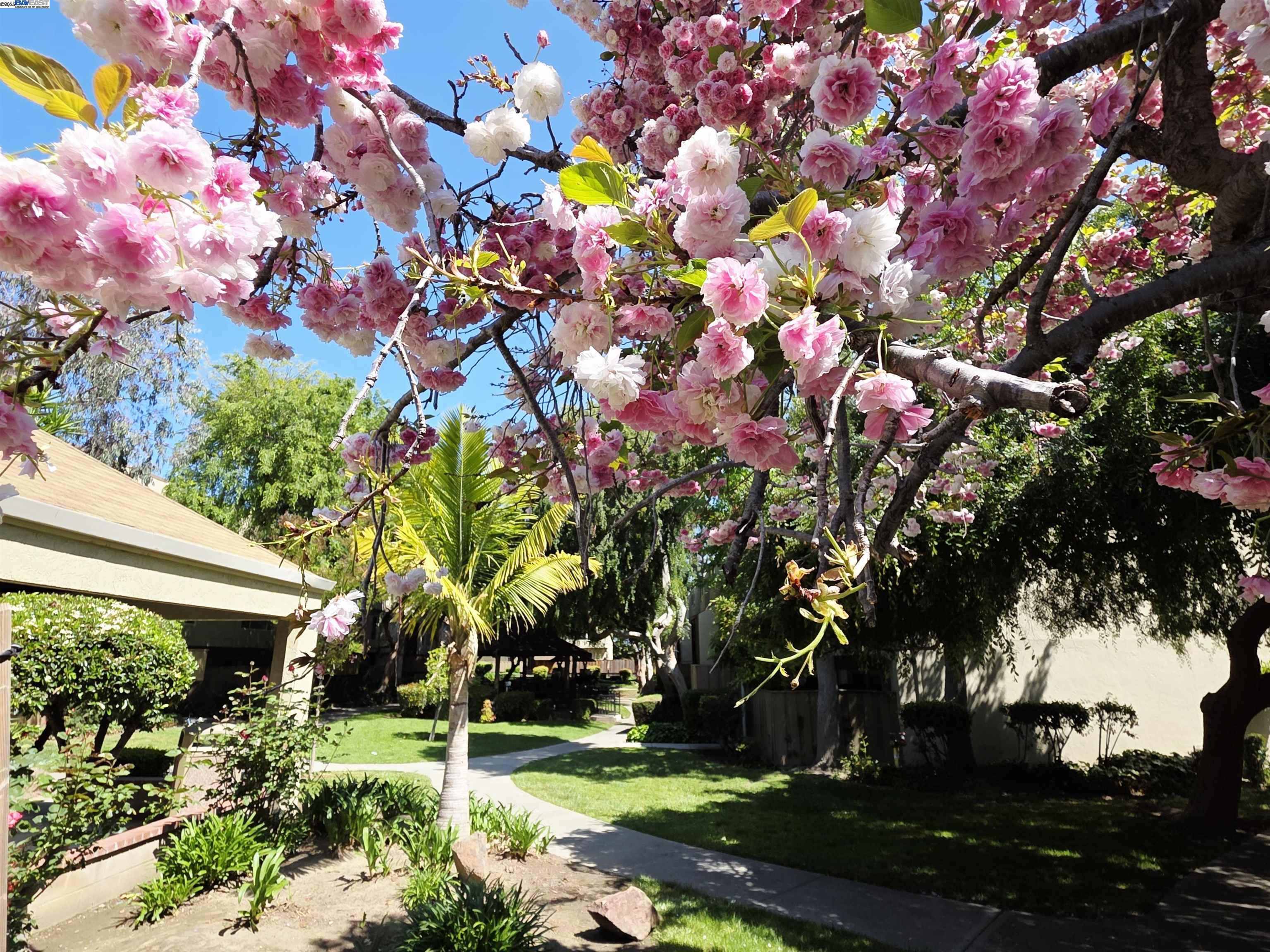 Detail Gallery Image 1 of 24 For 320 Auburn Way #25,  San Jose,  CA 95129 - 2 Beds | 1 Baths