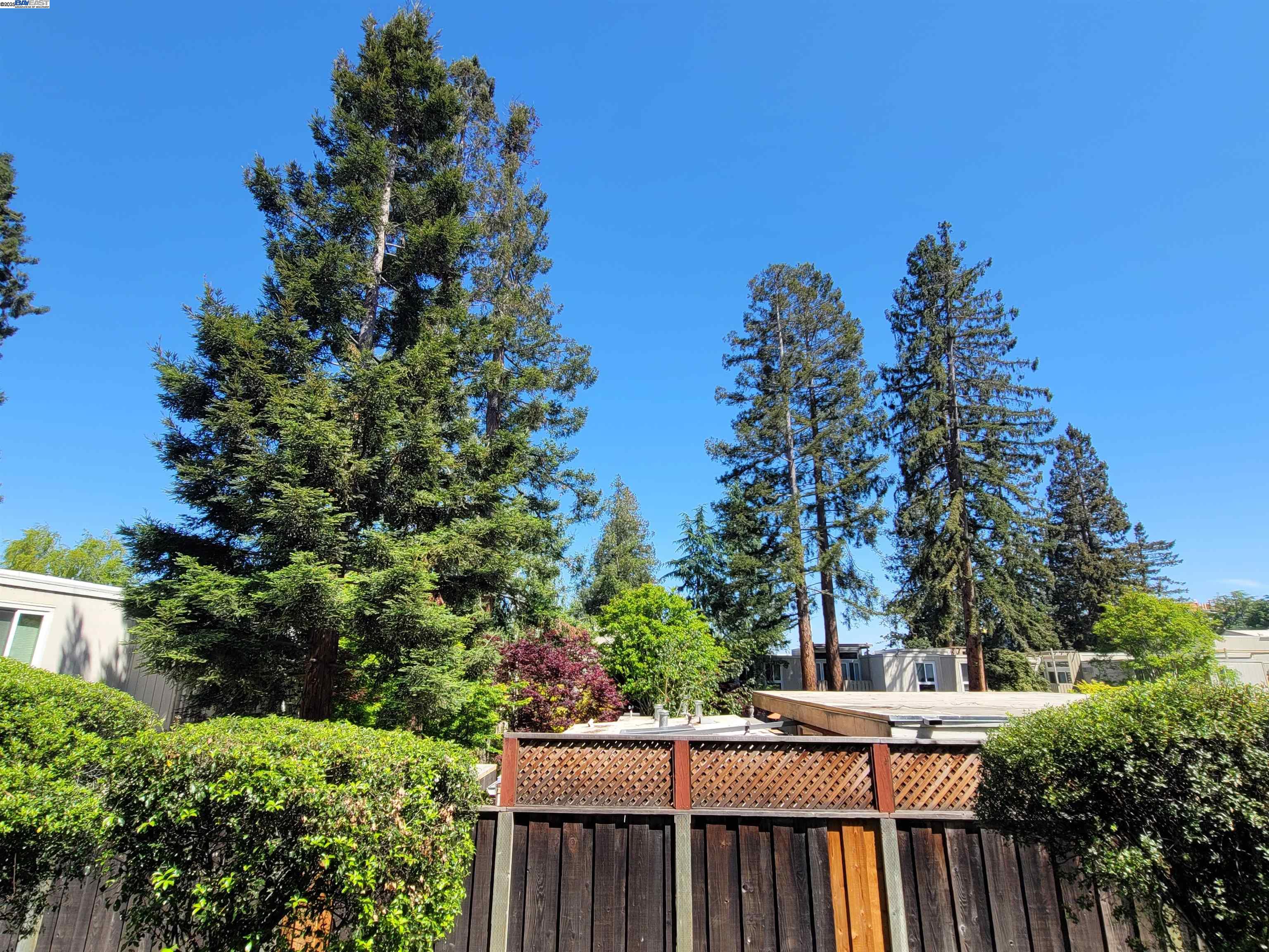 Detail Gallery Image 19 of 24 For 320 Auburn Way #25,  San Jose,  CA 95129 - 2 Beds | 1 Baths