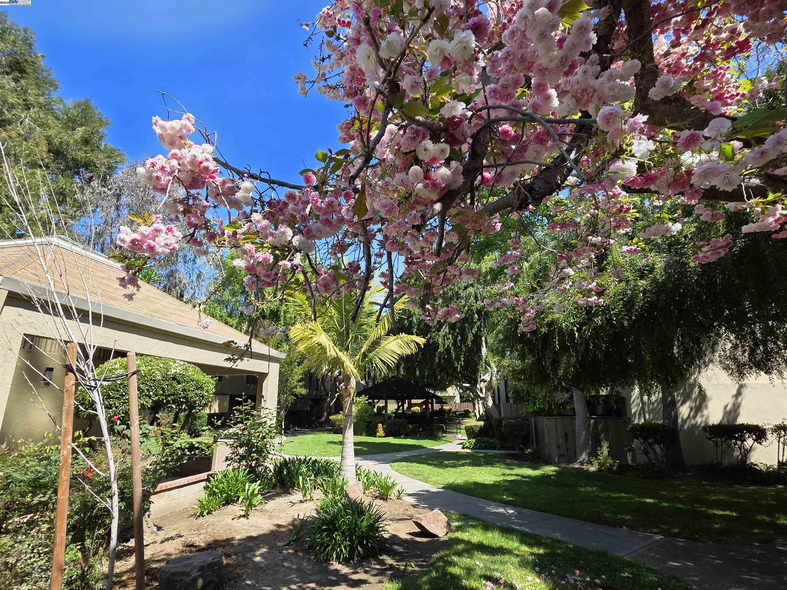 Detail Gallery Image 21 of 24 For 320 Auburn Way #25,  San Jose,  CA 95129 - 2 Beds | 1 Baths