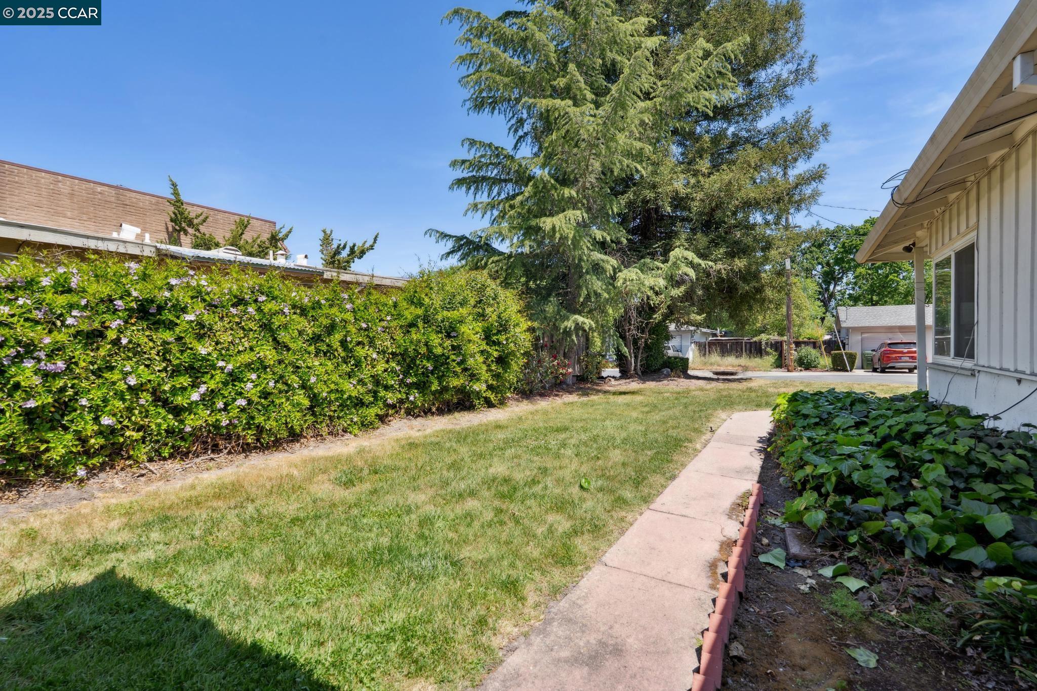 Detail Gallery Image 25 of 60 For 83-87 Palana Court, Walnut Creek,  CA 94595 - 4 Beds | 2 Baths