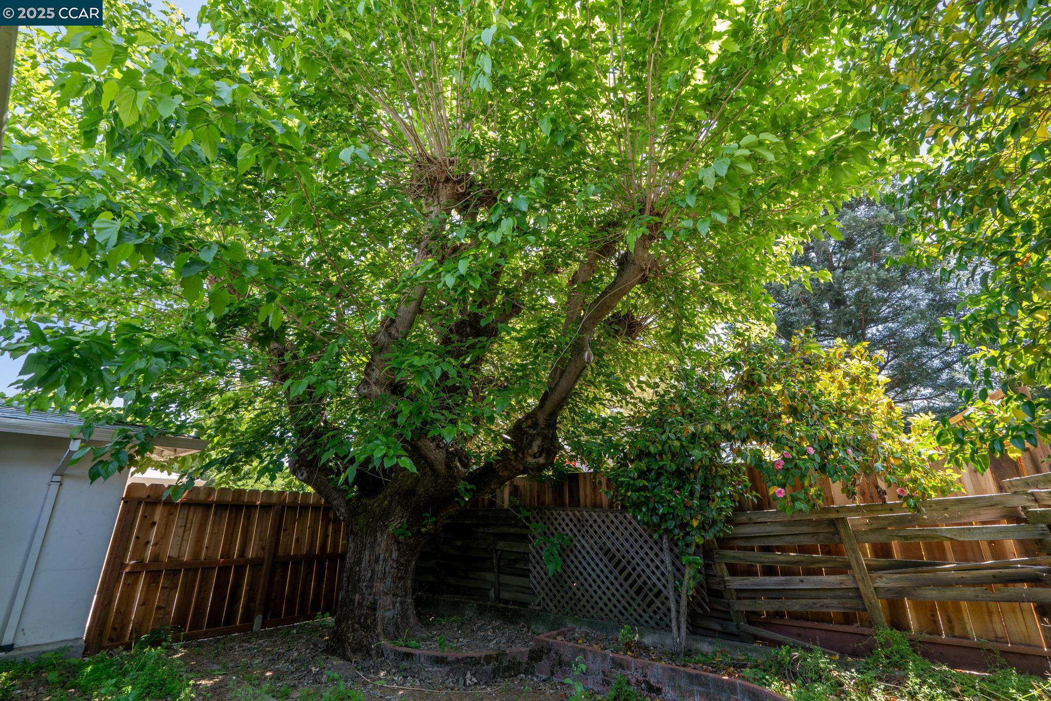 Detail Gallery Image 45 of 60 For 83-87 Palana Court, Walnut Creek,  CA 94595 - 4 Beds | 2 Baths
