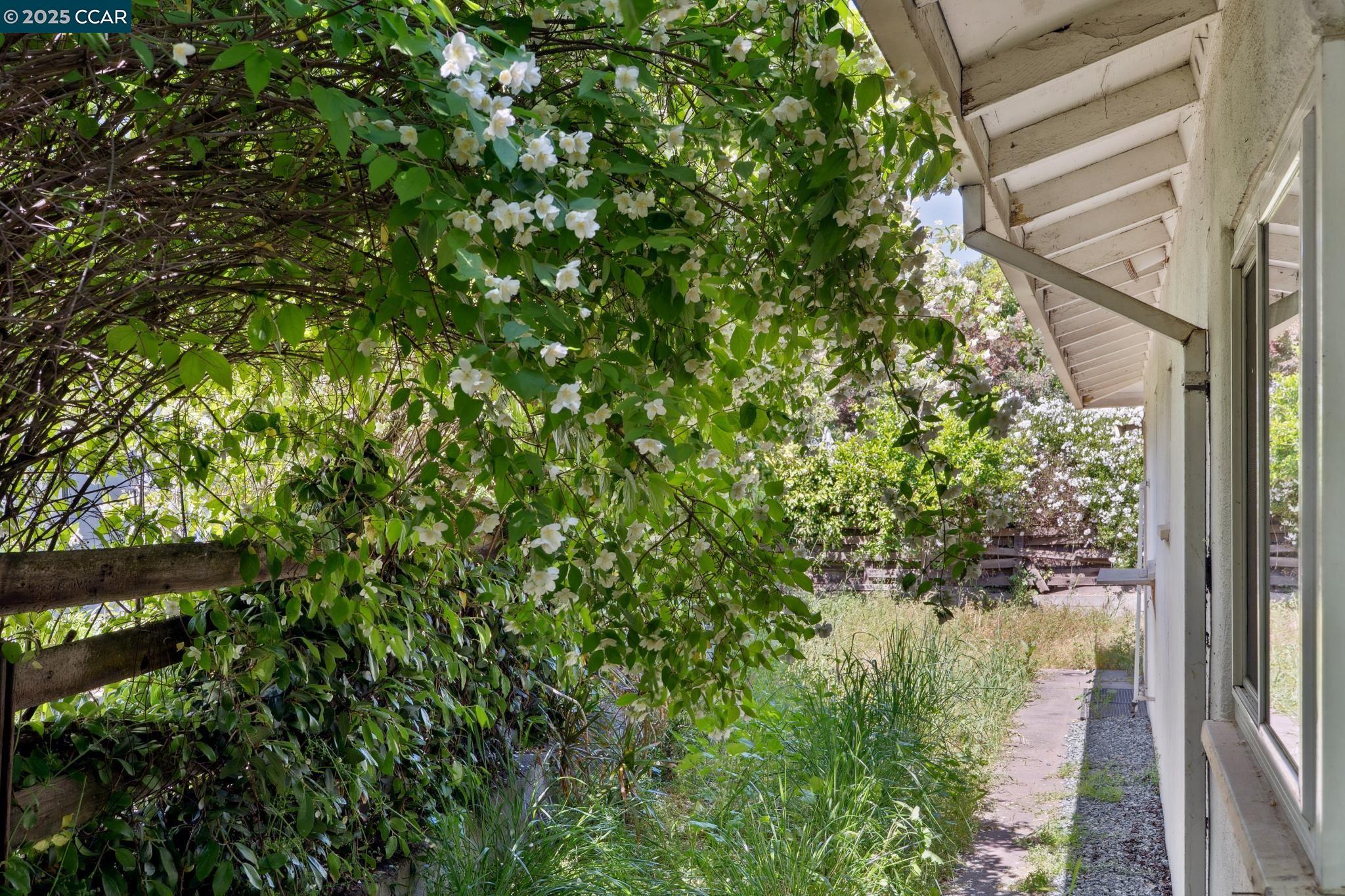 Detail Gallery Image 47 of 60 For 83-87 Palana Court, Walnut Creek,  CA 94595 - 4 Beds | 2 Baths