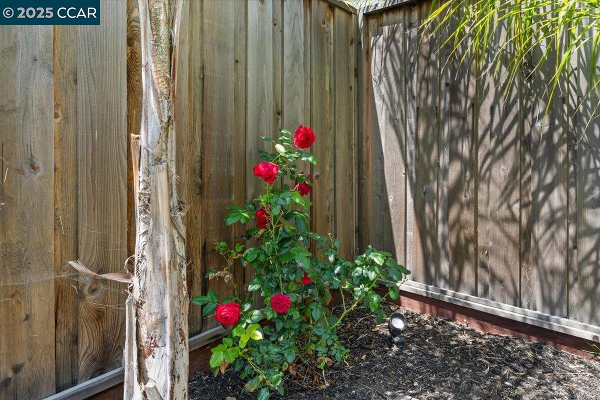 Detail Gallery Image 31 of 46 For 405 Avanti Way, Oakley,  CA 94561 - 4 Beds | 3 Baths