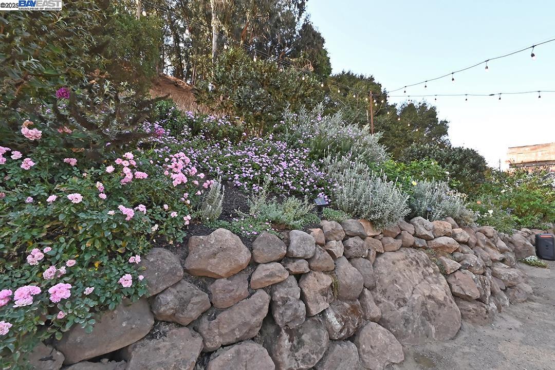 Detail Gallery Image 46 of 56 For 9635 Dublin Canyon Rd, Castro Valley,  CA 94552 - 3 Beds | 2 Baths