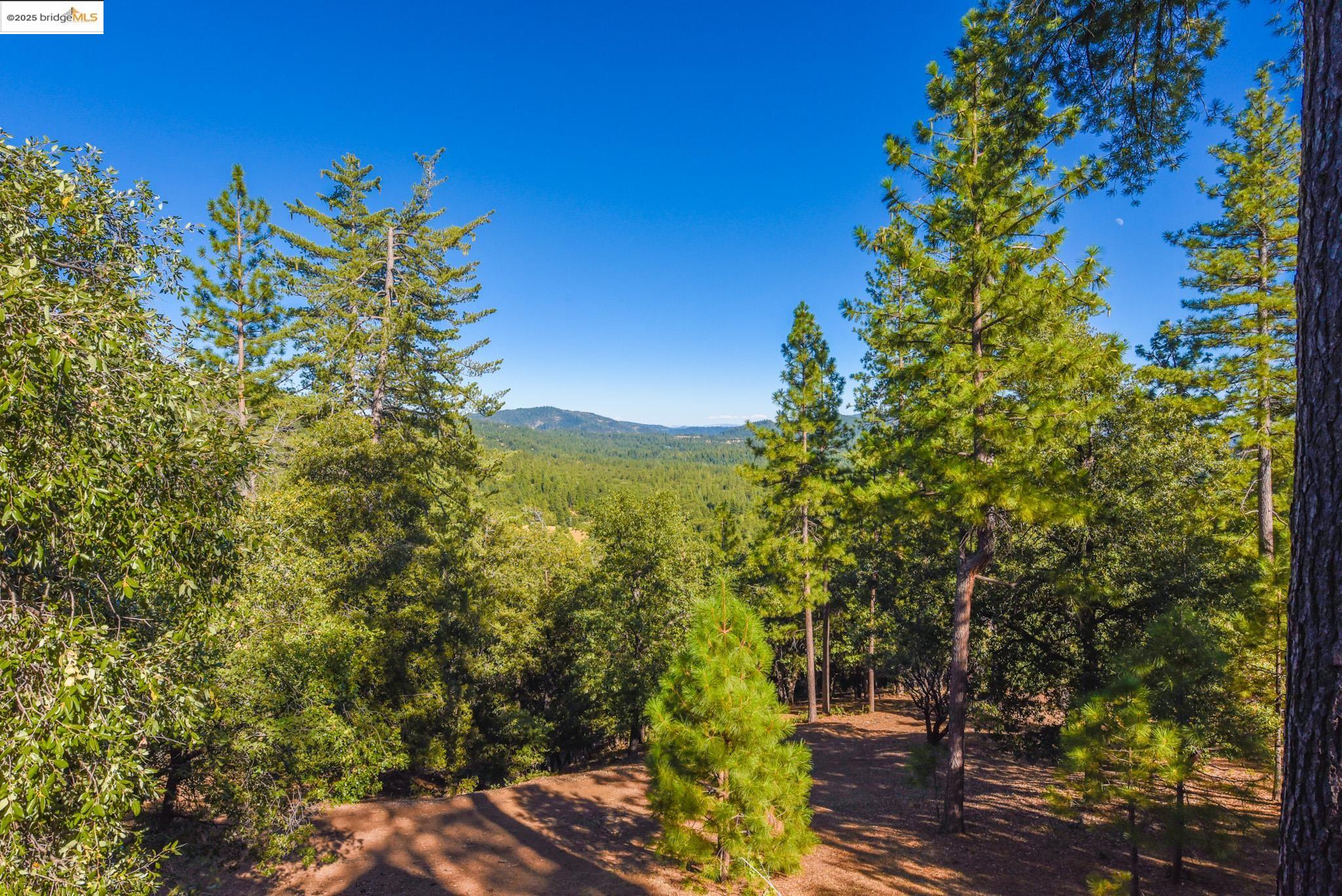 Detail Gallery Image 56 of 60 For 23601 Rusty Spur Road, Sonora,  CA 95370 - 3 Beds | 3 Baths