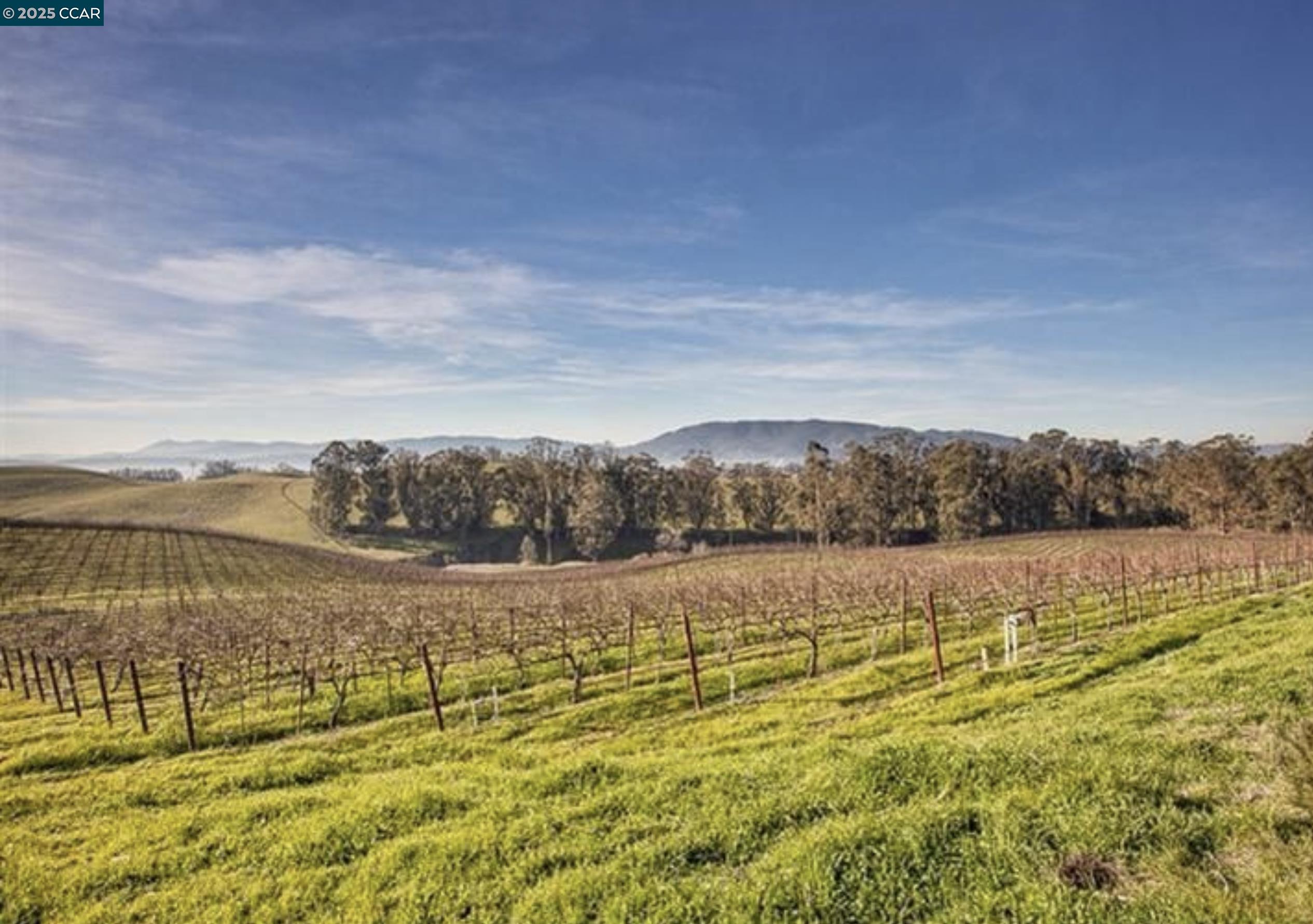 Detail Gallery Image 11 of 22 For 6513 Lakeville Hwy, Petaluma,  CA 94954 - 3 Beds | 2 Baths
