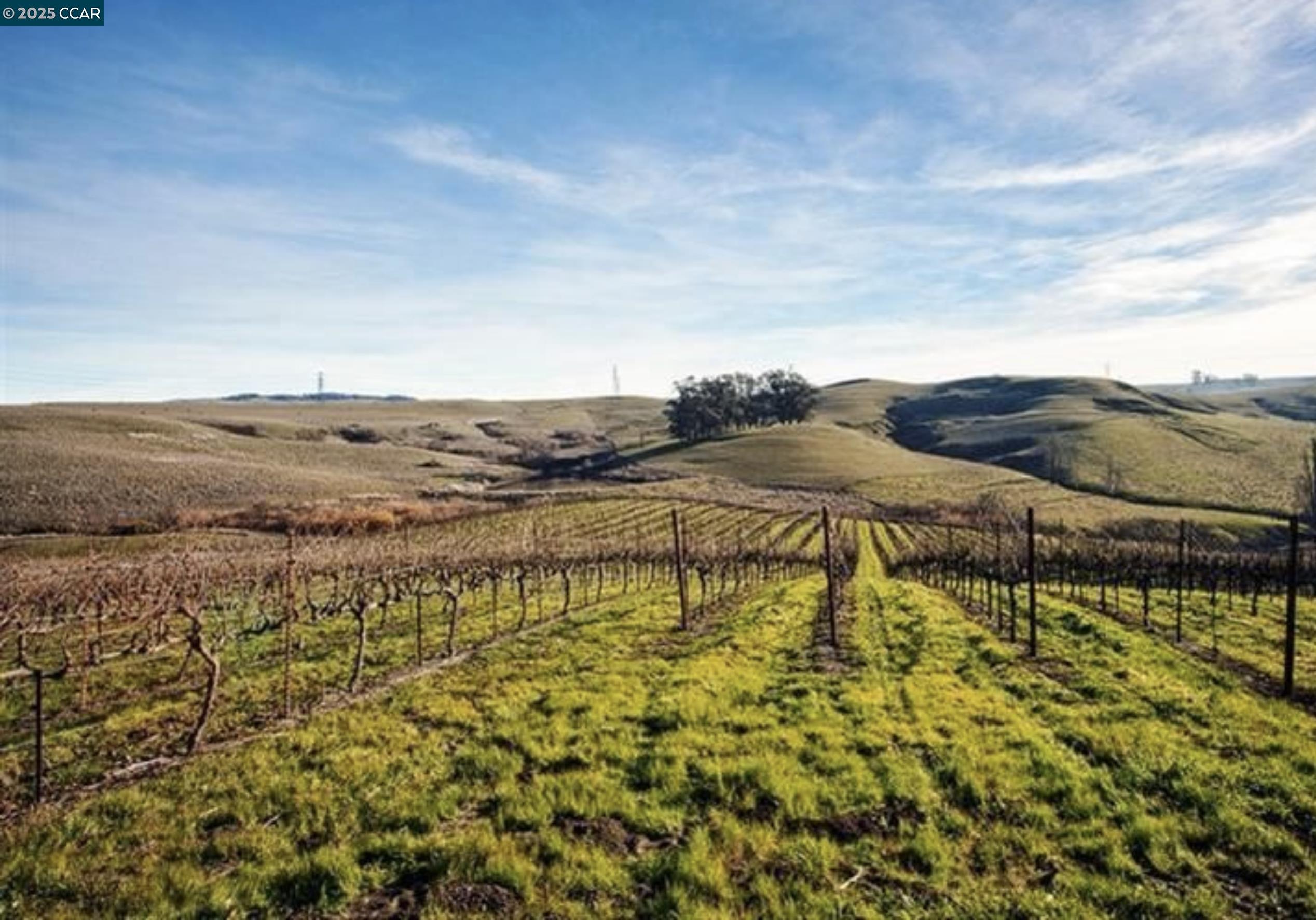 Detail Gallery Image 13 of 22 For 6513 Lakeville Hwy, Petaluma,  CA 94954 - 3 Beds | 2 Baths
