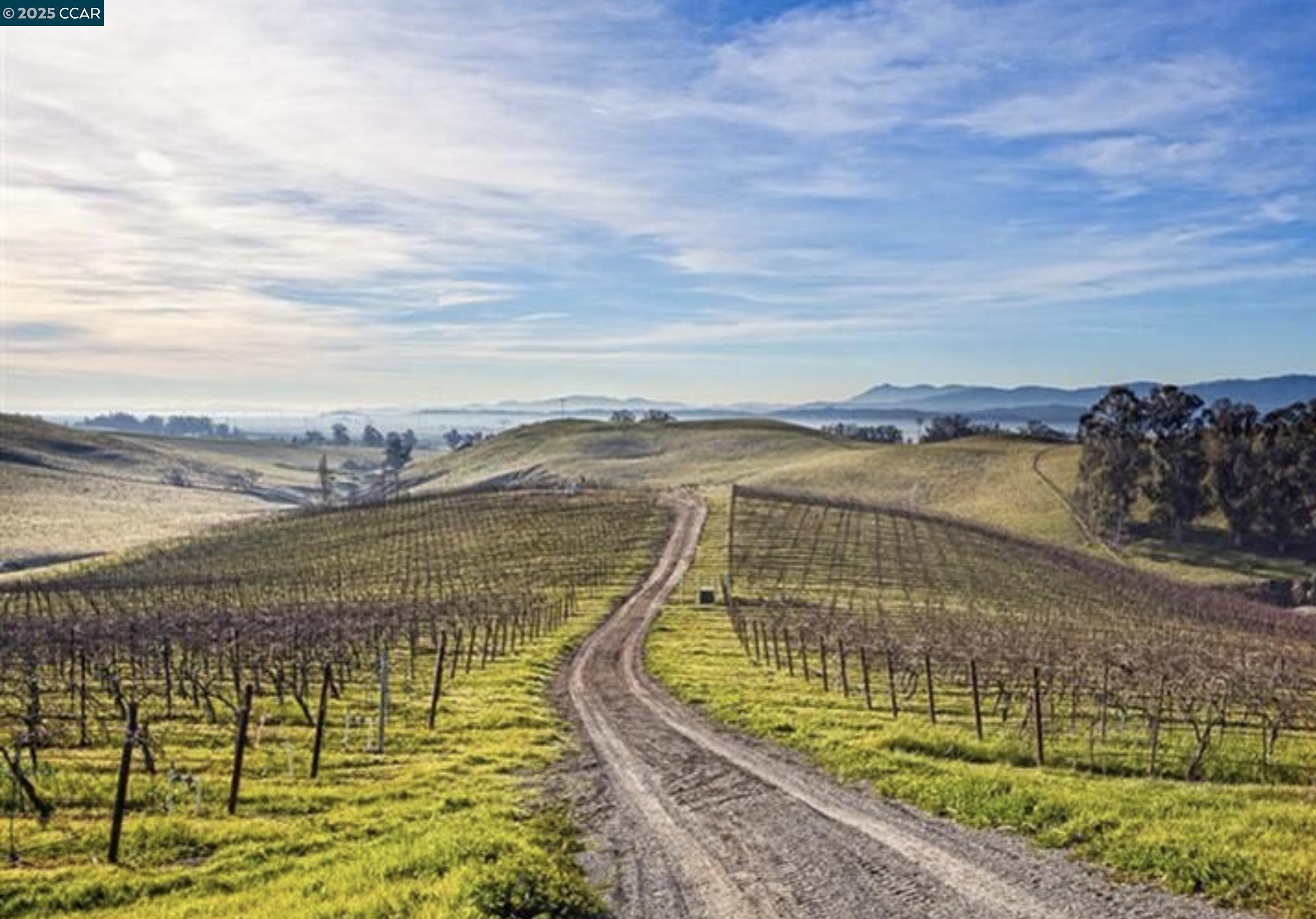 Detail Gallery Image 14 of 22 For 6513 Lakeville Hwy, Petaluma,  CA 94954 - 3 Beds | 2 Baths