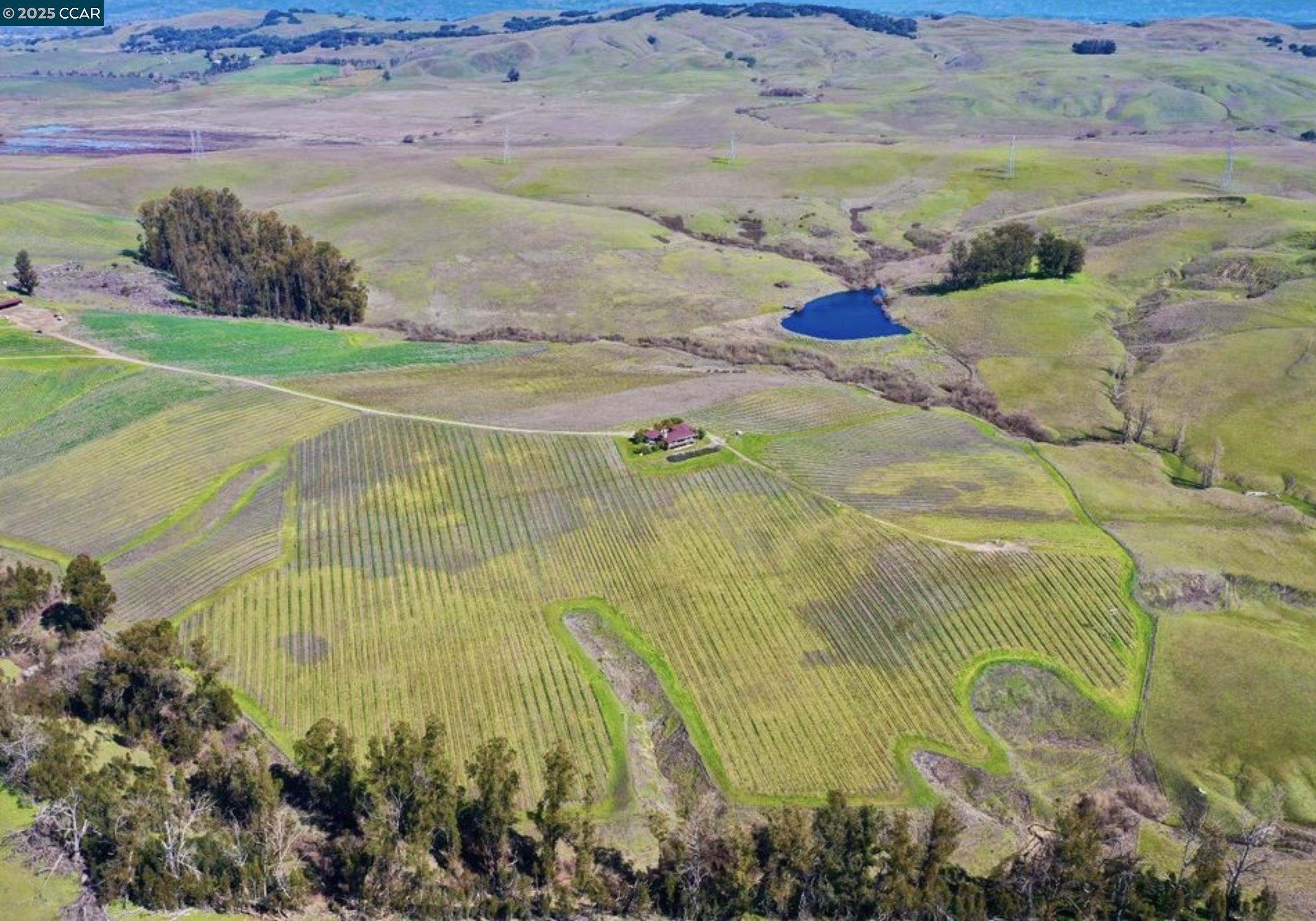 Detail Gallery Image 20 of 22 For 6513 Lakeville Hwy, Petaluma,  CA 94954 - 3 Beds | 2 Baths