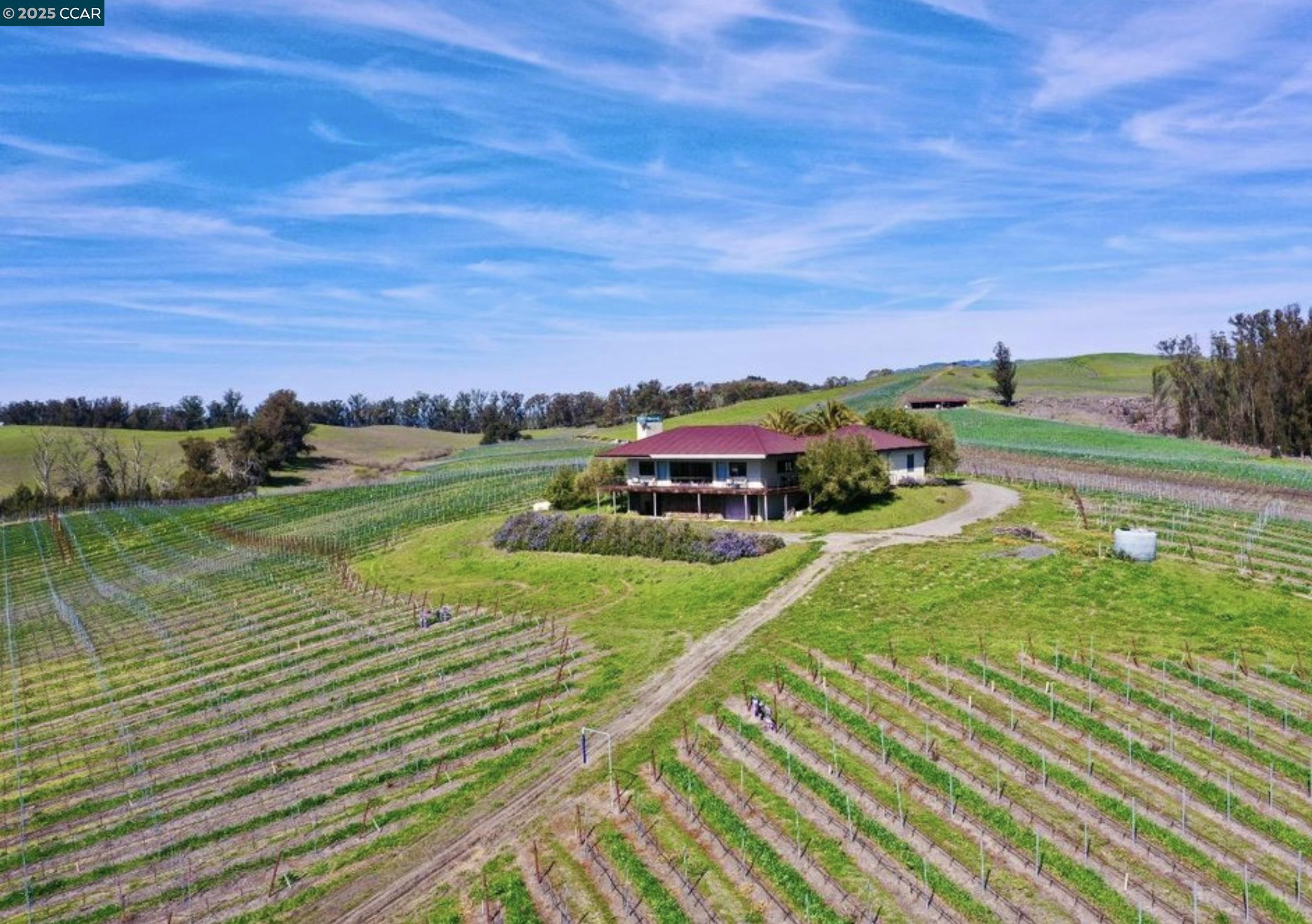 Detail Gallery Image 10 of 22 For 6513 Lakeville Hwy, Petaluma,  CA 94954 - 3 Beds | 2 Baths