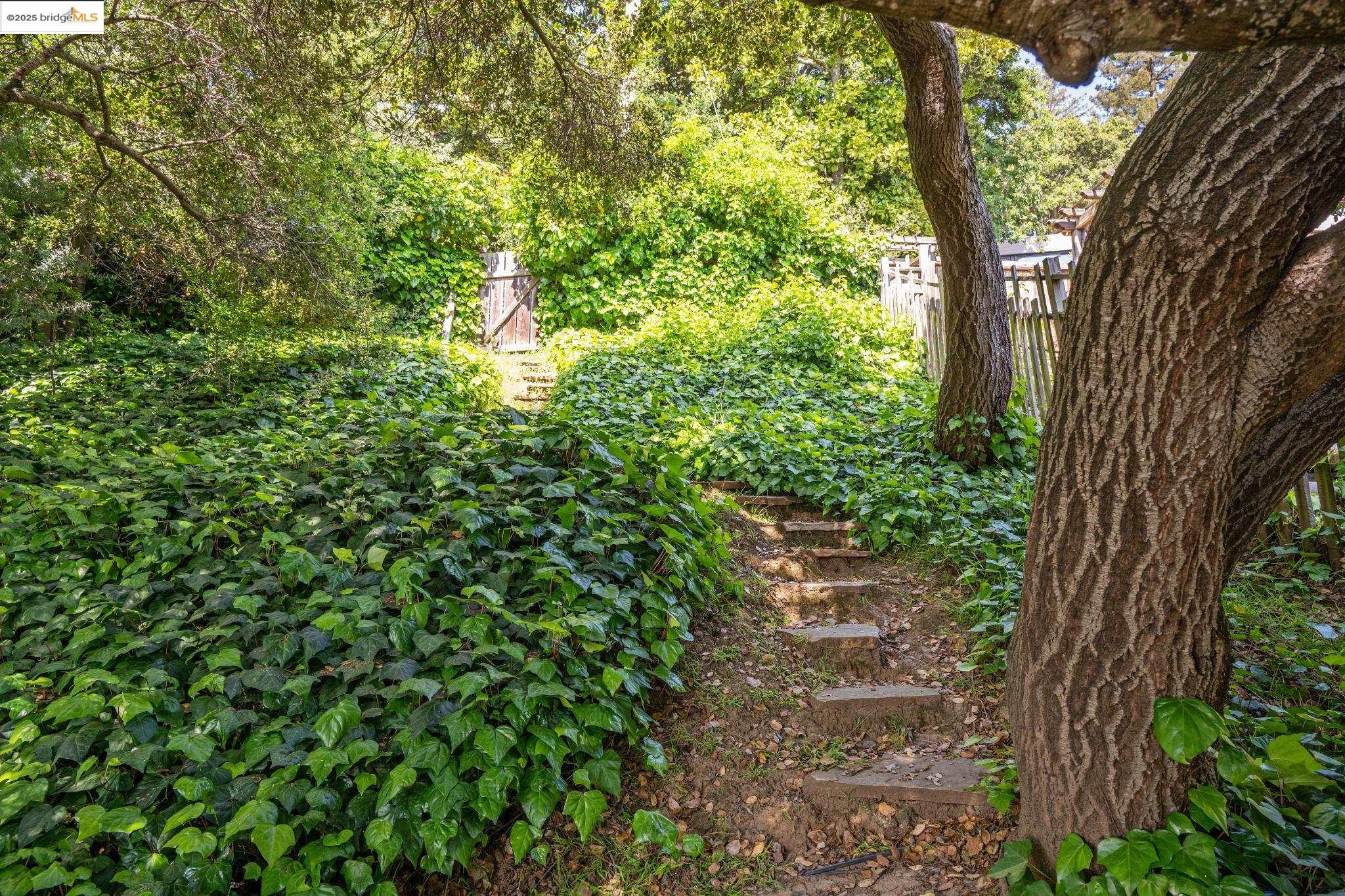 Detail Gallery Image 55 of 60 For 95 Alvarado Rd, Berkeley,  CA 94705 - 2 Beds | 1/1 Baths